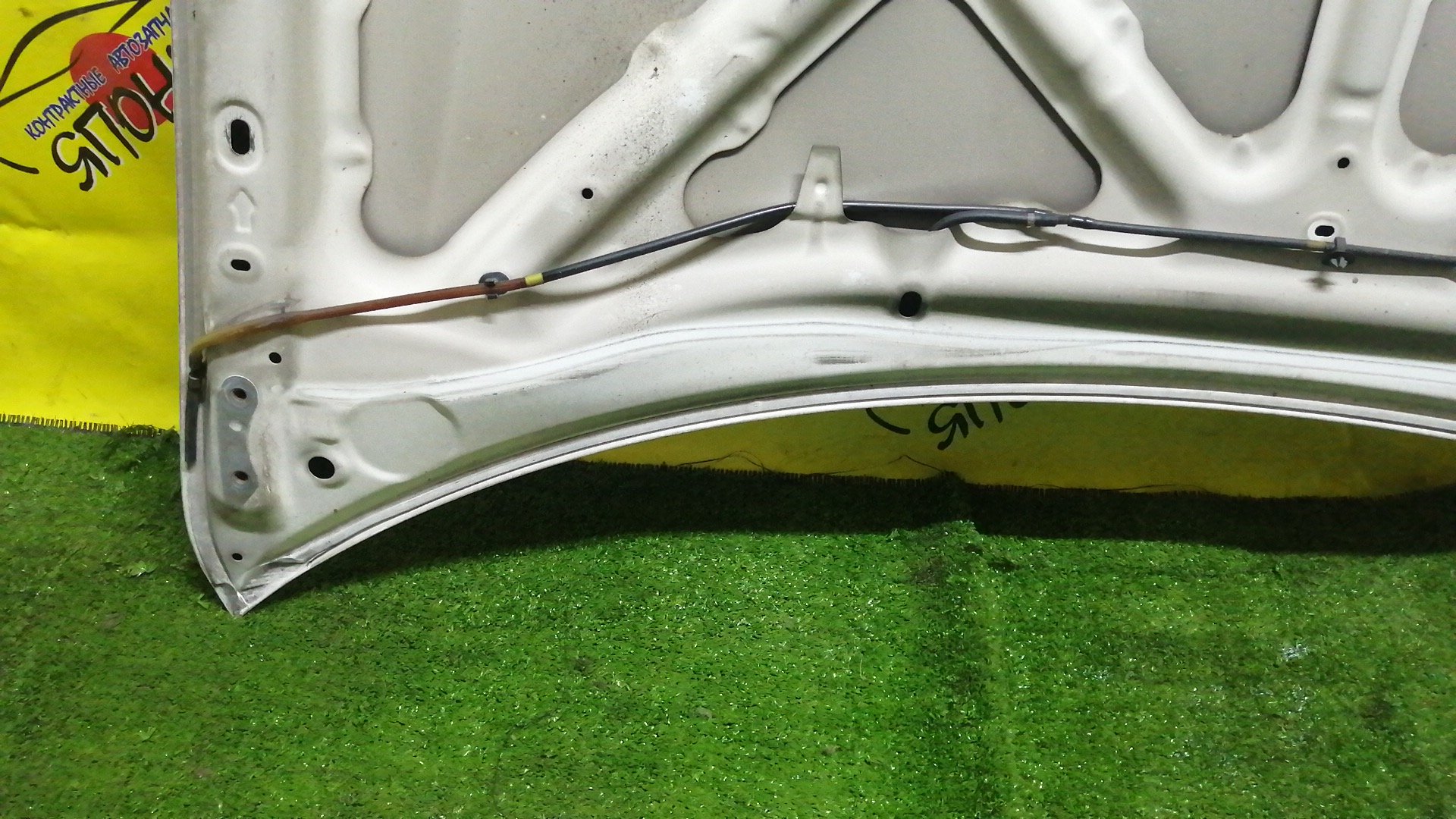 КАПОТ/TOY/IPSUM/ACM21/ACM26/1 МОДЕЛЬ/5330144040