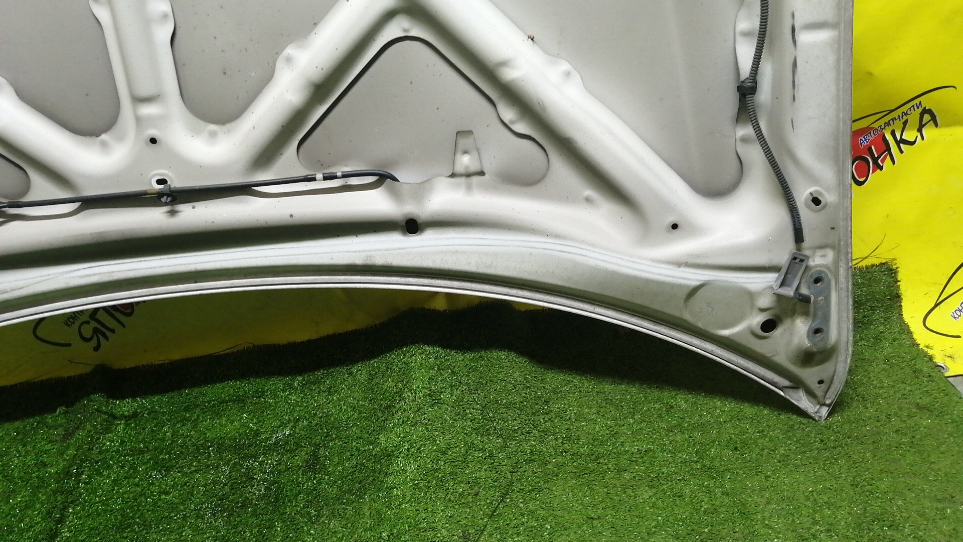 КАПОТ/TOY/IPSUM/ACM21/ACM26/1 МОДЕЛЬ/5330144040