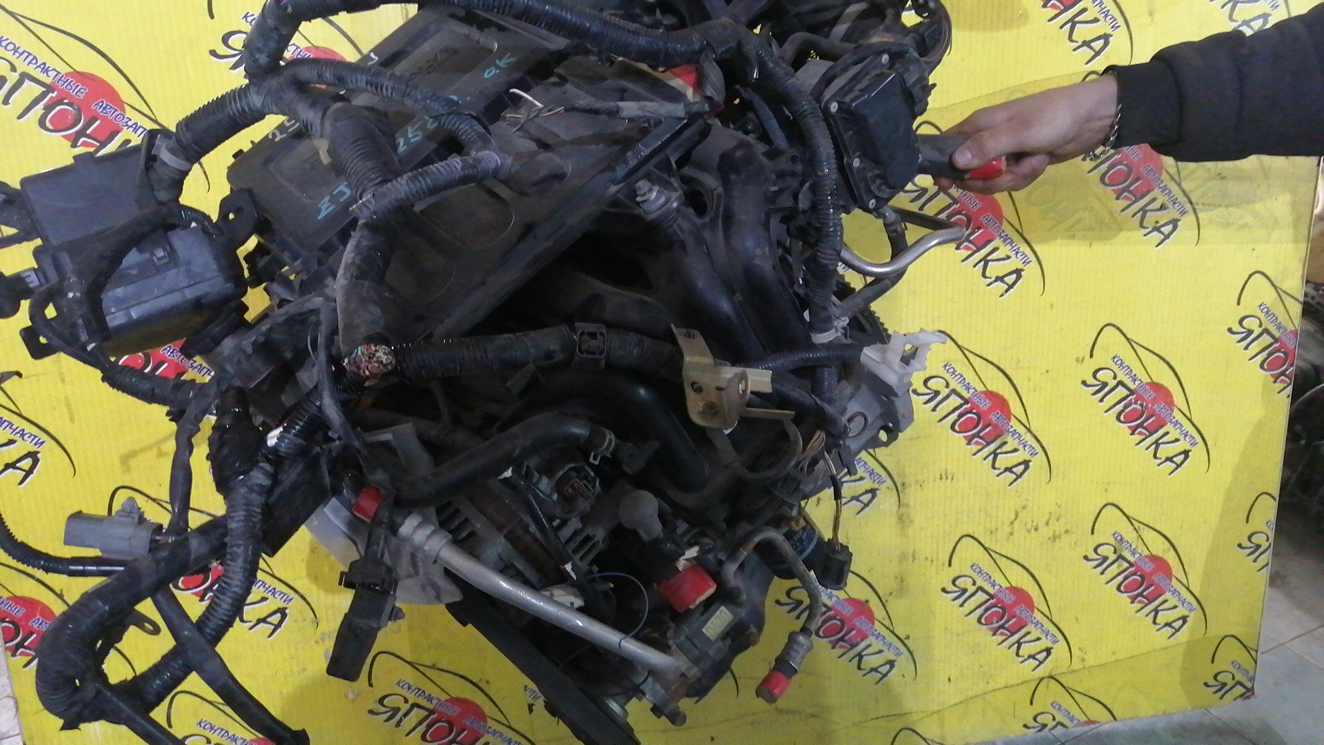 ДВС/MAZ/ZJ-VE/DEMIO/DE3FS/DY3W/2WD/ABS/ЭЛЕКТРО/ZJ2002300A