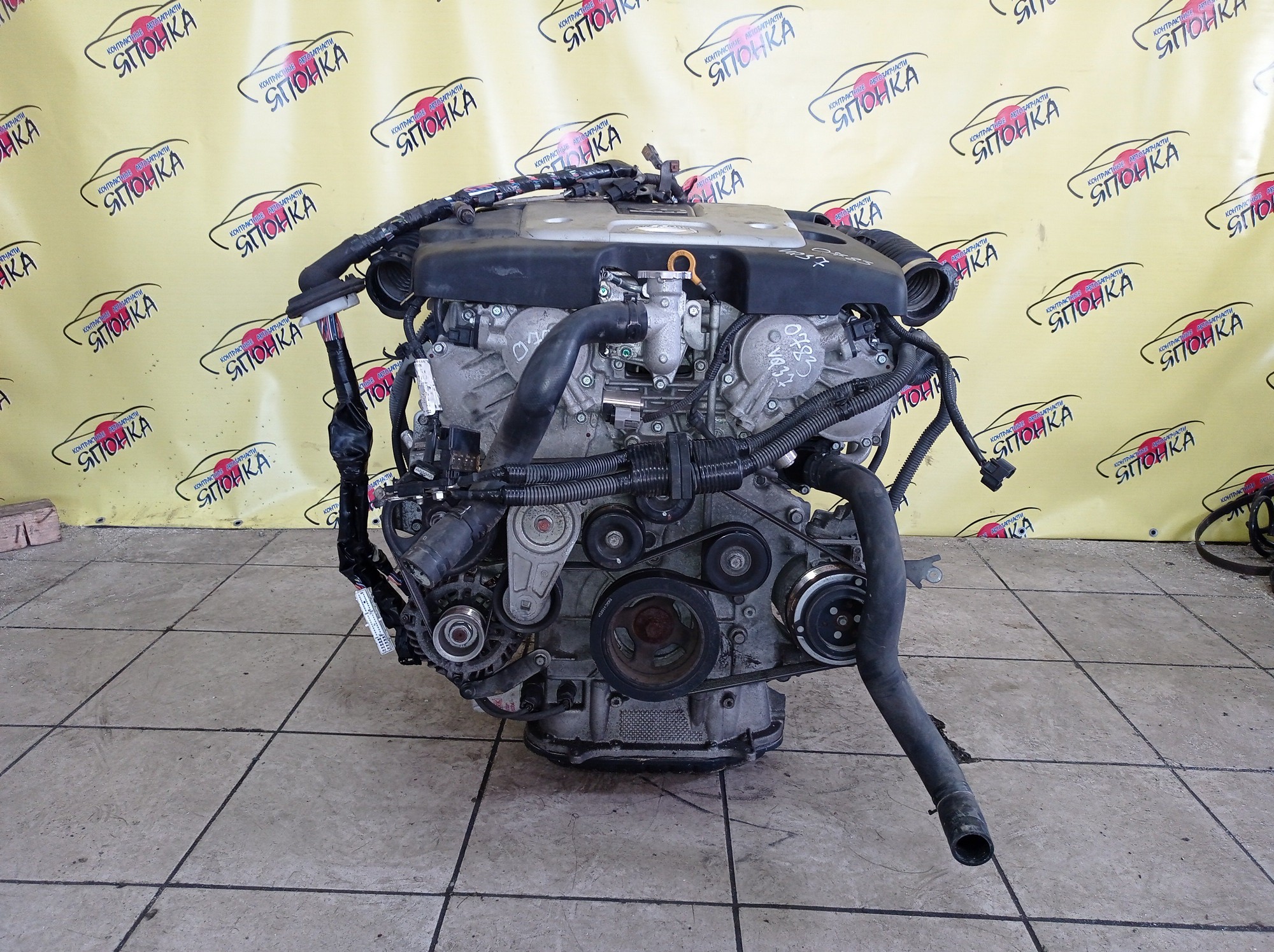 ДВС/NIS/VQ37-VHR/370Z/EX37/FAIRLADY Z/FUGA/FX37/G37/M37/Q40/Q60/Q70/QX50/QX70/SKYLINE/SKYLINE CROSSOVER/CKV36/CV36/HZ34/J50/KNY51/KV36/KY51/NJ50/S51/V36/Y51/Z34/101021NCMB