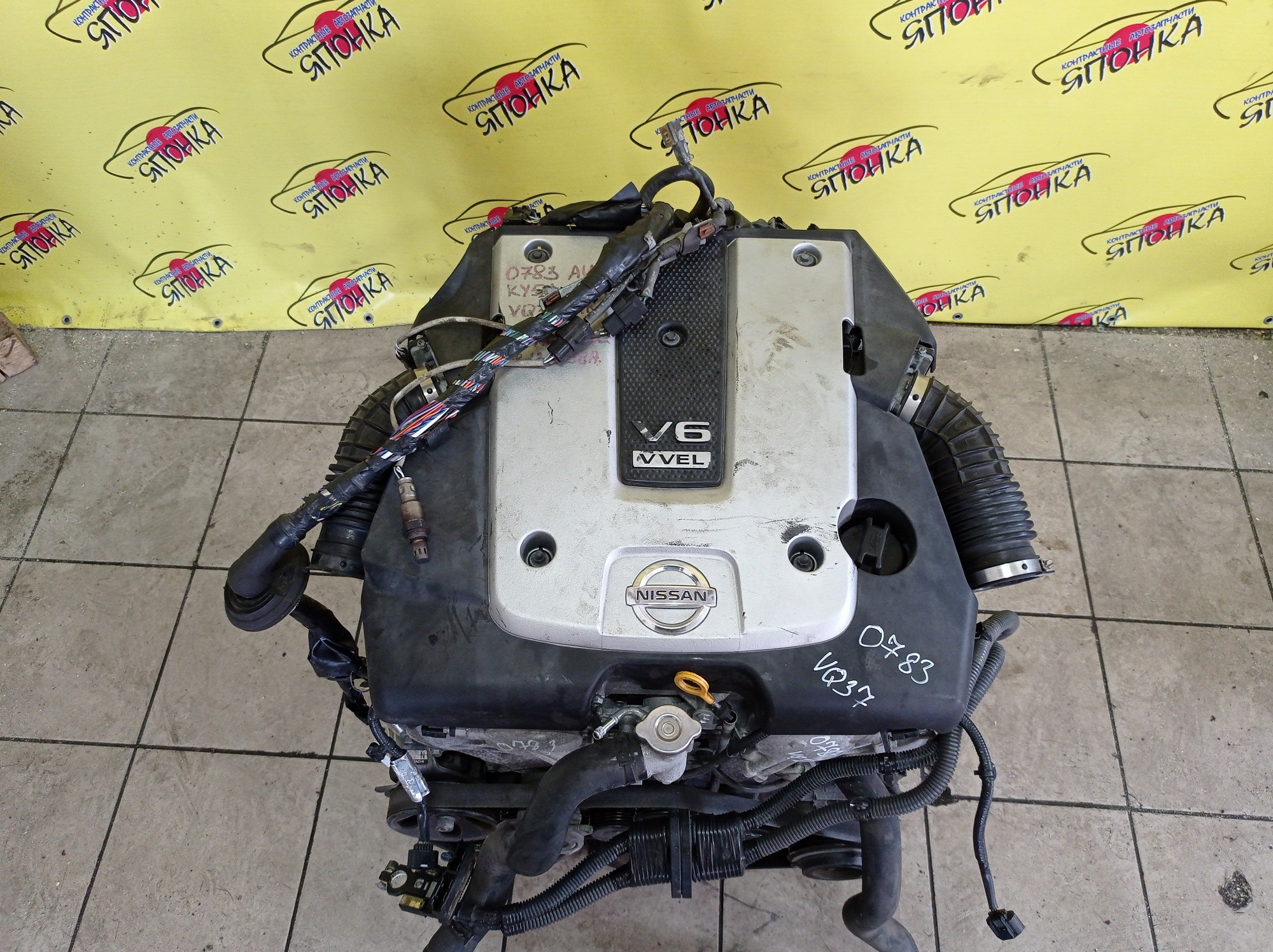 ДВС/NIS/VQ37-VHR/370Z/EX37/FAIRLADY Z/FUGA/FX37/G37/M37/Q40/Q60/Q70/QX50/QX70/SKYLINE/SKYLINE CROSSOVER/CKV36/CV36/HZ34/J50/KNY51/KV36/KY51/NJ50/S51/V36/Y51/Z34/101021NCMB