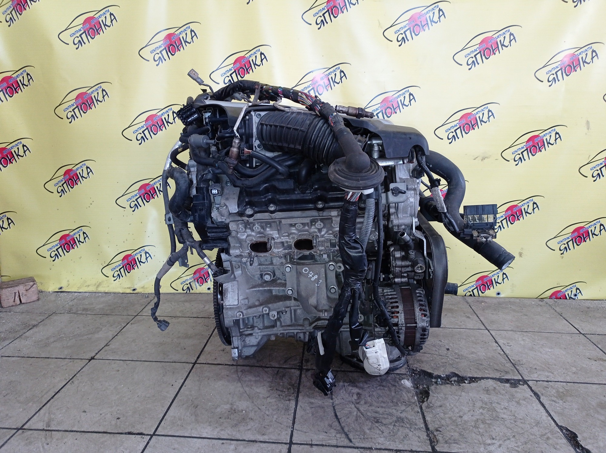 ДВС/NIS/VQ37-VHR/370Z/EX37/FAIRLADY Z/FUGA/FX37/G37/M37/Q40/Q60/Q70/QX50/QX70/SKYLINE/SKYLINE CROSSOVER/CKV36/CV36/HZ34/J50/KNY51/KV36/KY51/NJ50/S51/V36/Y51/Z34/101021NCMB