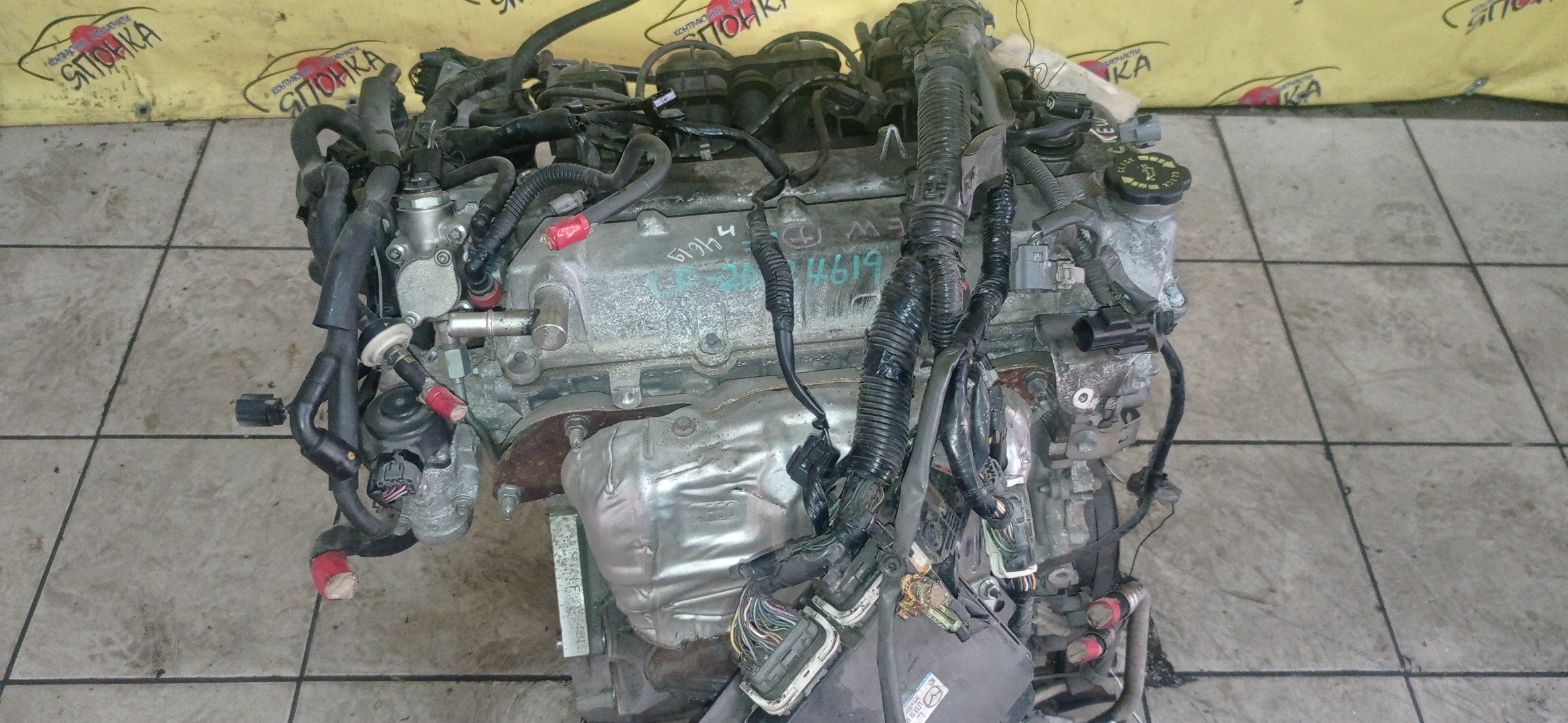 ДВС/MAZ/LF-VE/ATENZA/ATENZA WAGON/AXELA/MAZDA6/PREMACY/BKEP/BLEAP/BLEAW/CREW/GGEP/GHEFP/GHEFS/GHEFW/КАТУШКИ СВЕРХУ/ДАТЧИКА VVTI/ЩУП ЧЕРЕЗ ГОЛОВУ/КОМПРЕССОР НА ПОДДОНЕ