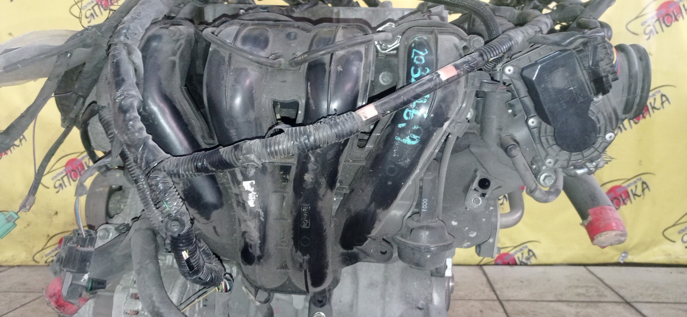 ДВС/MAZ/LF-VE/ATENZA/ATENZA WAGON/AXELA/MAZDA6/PREMACY/BKEP/BLEAP/BLEAW/CREW/GGEP/GHEFP/GHEFS/GHEFW/КАТУШКИ СВЕРХУ/ДАТЧИКА VVTI/ЩУП ЧЕРЕЗ ГОЛОВУ/КОМПРЕССОР НА ПОДДОНЕ