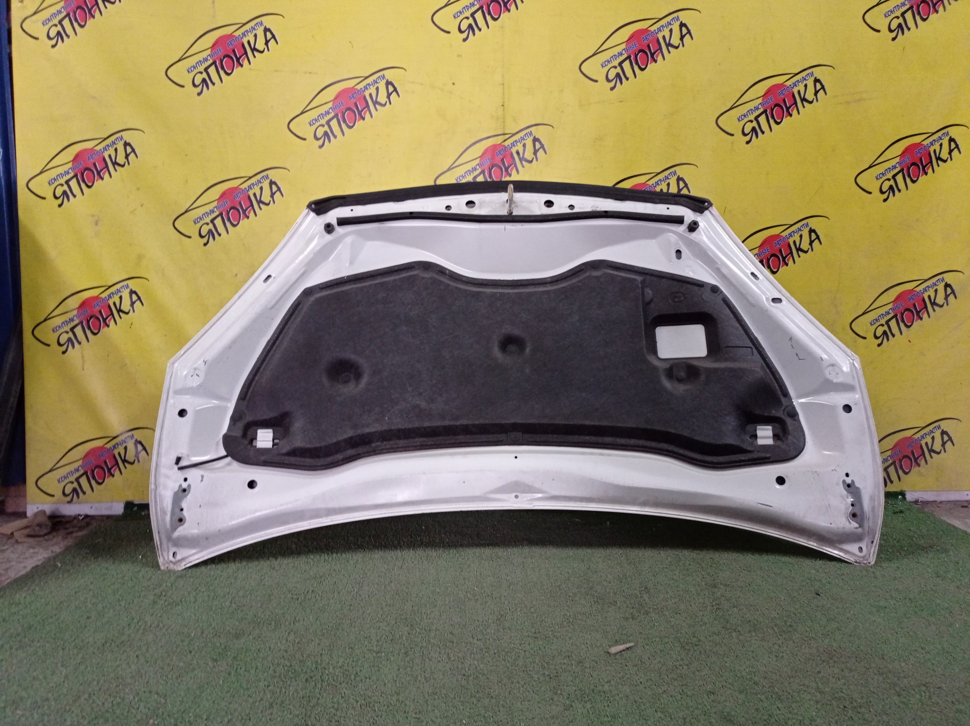 КАПОТ/MAZ/PREMACY/CWEFW