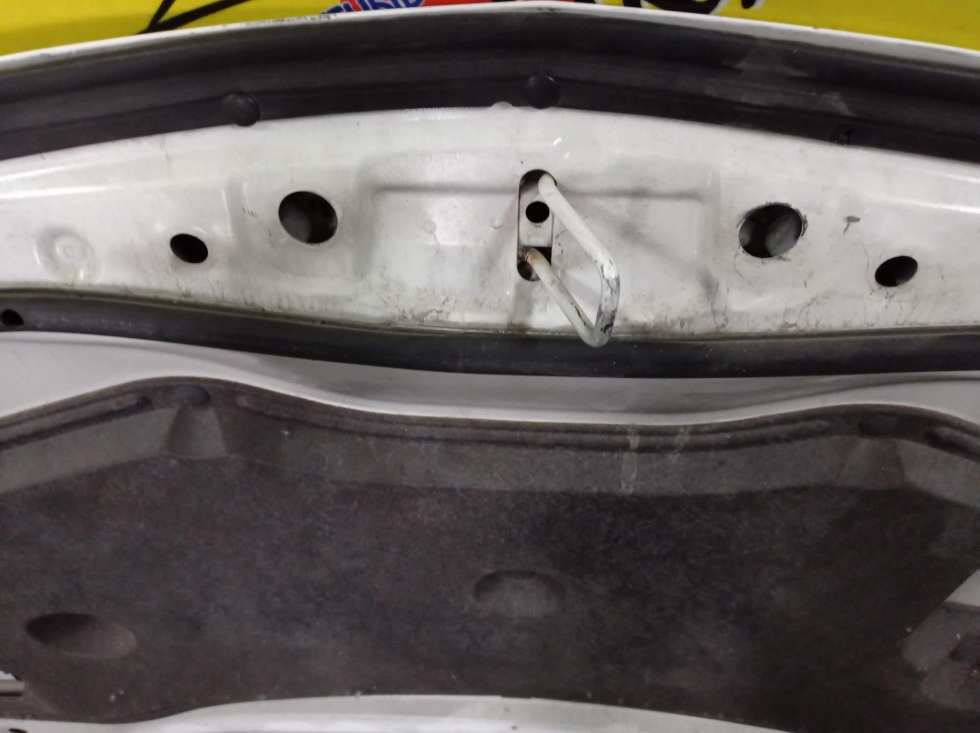 КАПОТ/MAZ/PREMACY/CWEFW