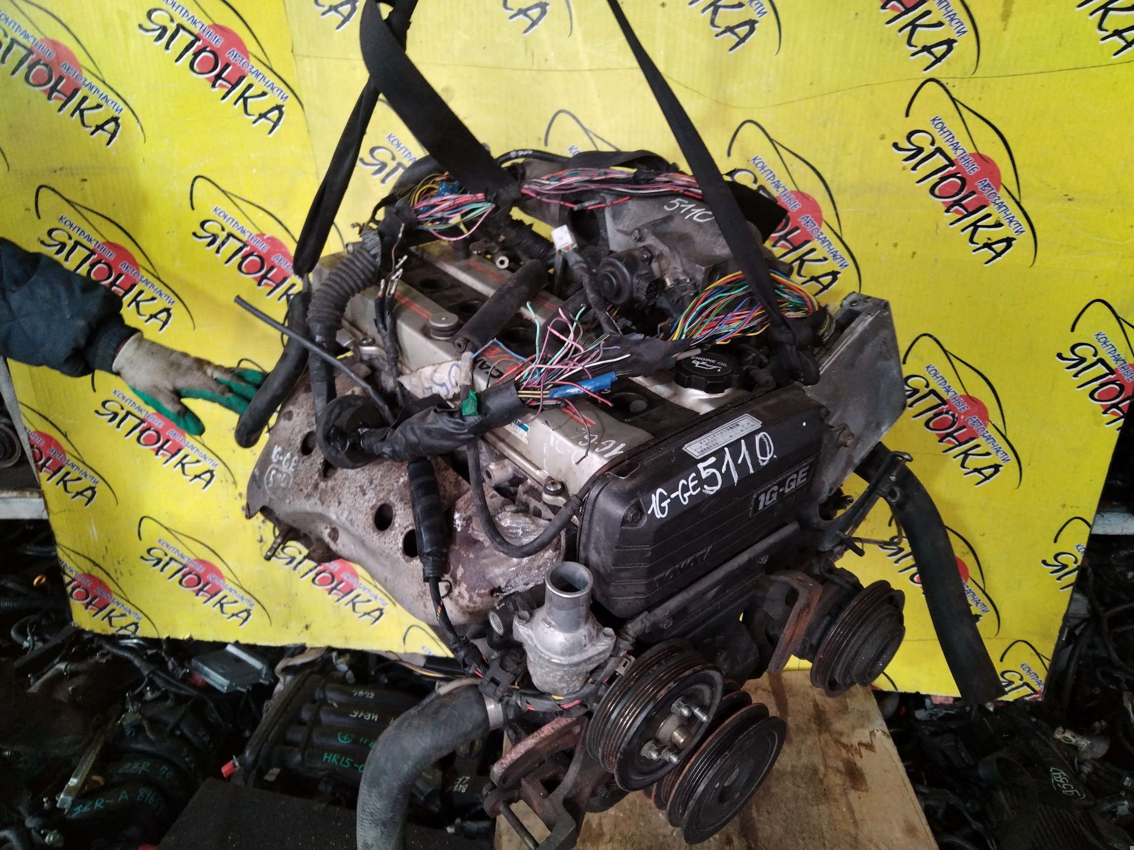 ДВС/TOY/1G-GE/CHASER/CRESTA/CROWN/MARK II/GS131/GX81/1900070160/1900088335