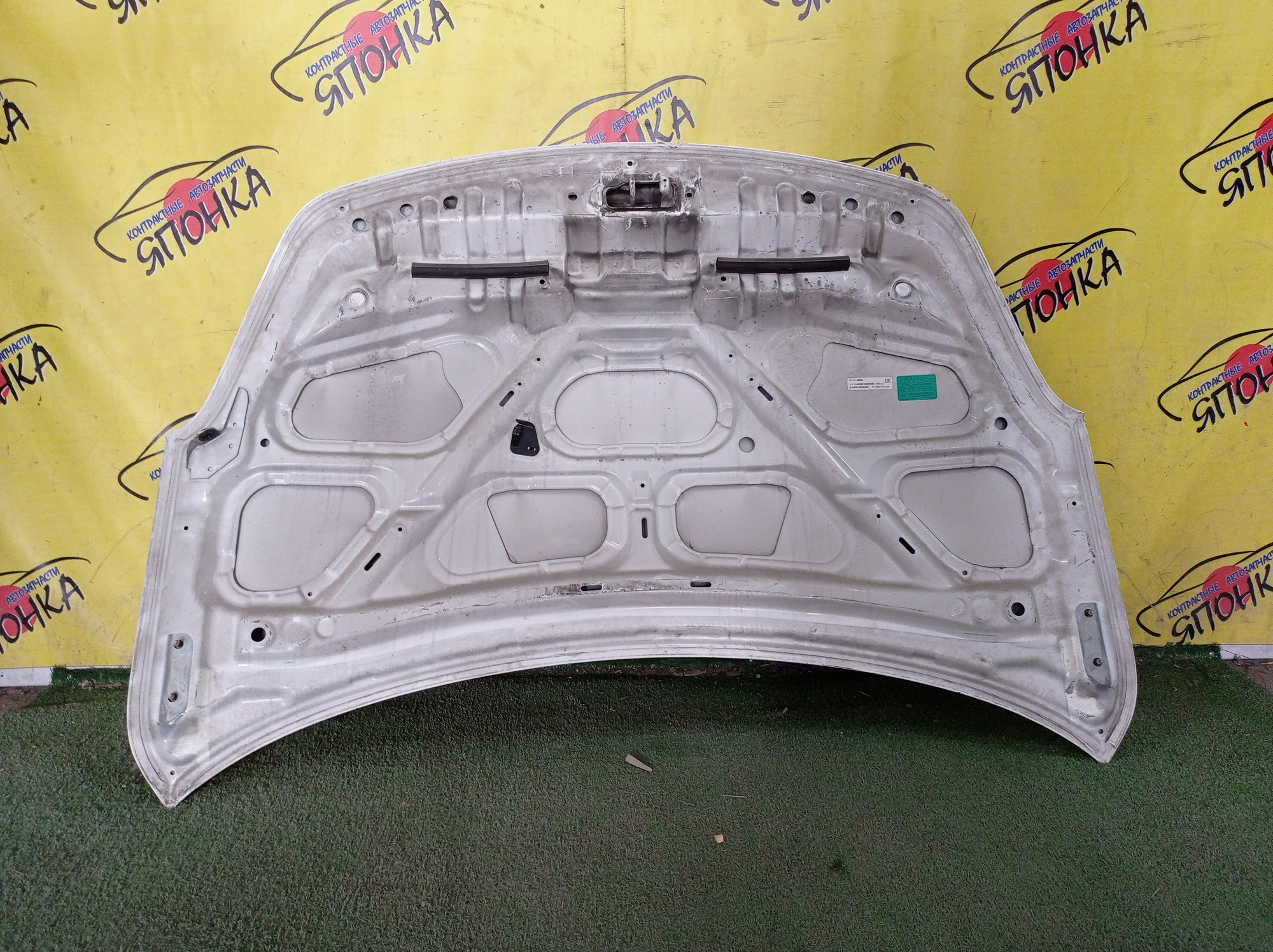 КАПОТ/NIS/AD/AD EXPERT/FAMILIA VAN/WINGROAD/BVAY12/BVJY12/BVY12/BVZNY12/JY12/NY12/VAY12/VJY12/VY12/VZNY12/Y12/F5100CV0MM