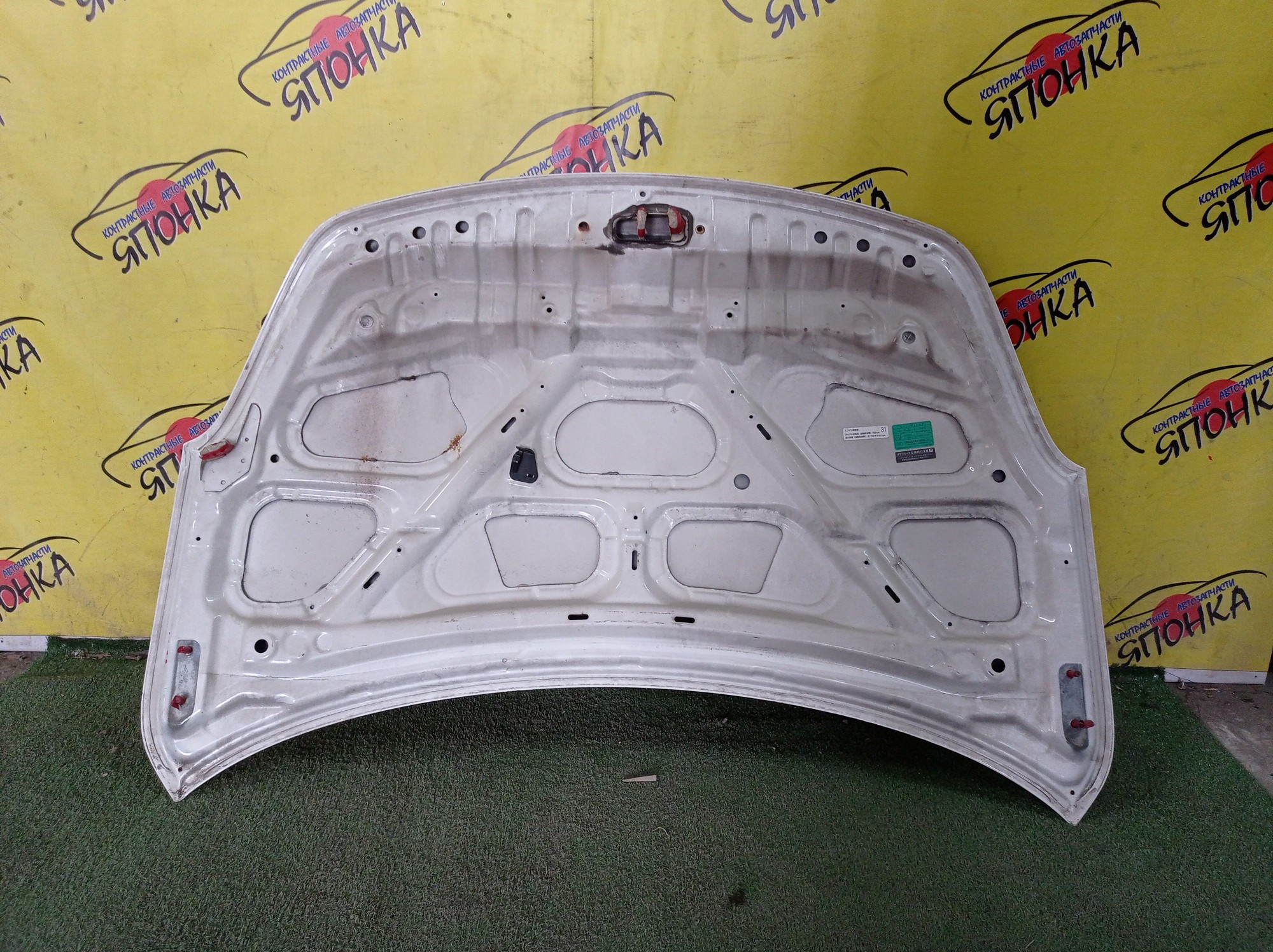 КАПОТ/NIS/AD/AD EXPERT/FAMILIA VAN/WINGROAD/BVAY12/BVJY12/BVY12/BVZNY12/JY12/NY12/VAY12/VJY12/VY12/VZNY12/Y12/F5100CV0MM