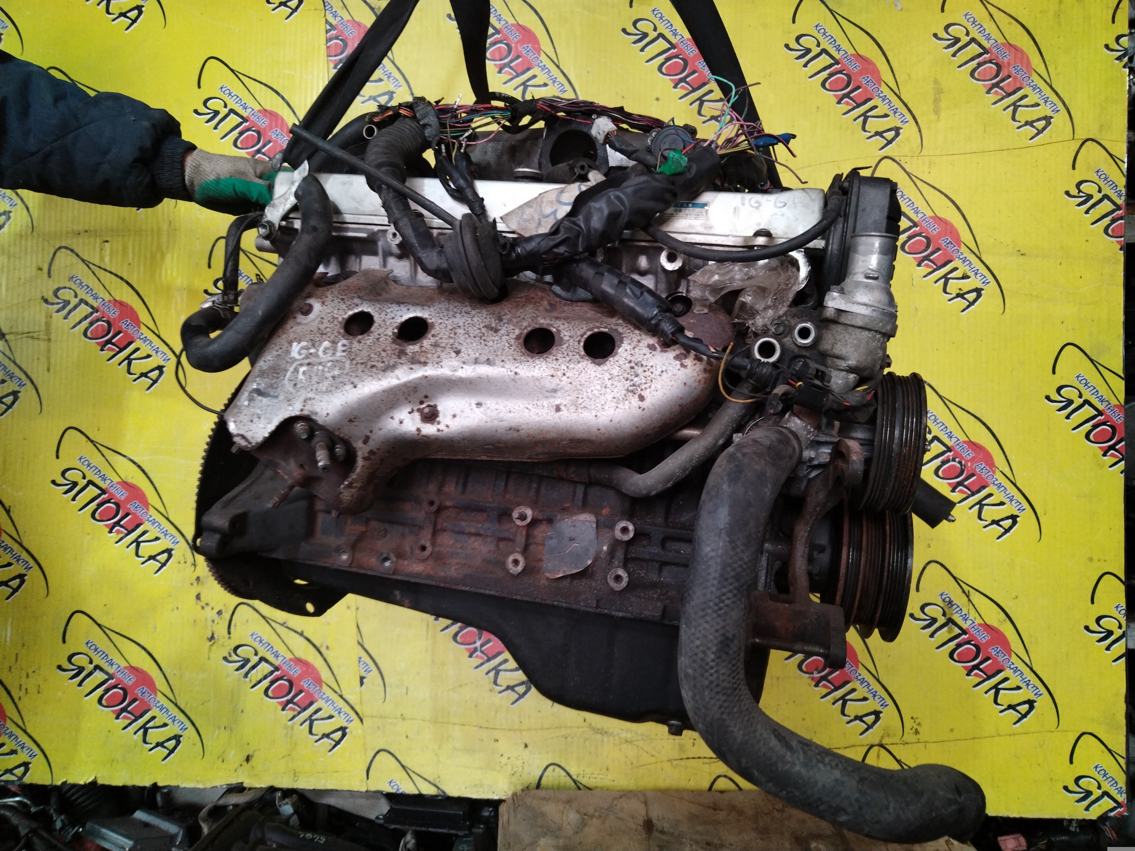 ДВС/TOY/1G-GE/CHASER/CRESTA/CROWN/MARK II/GS131/GX81/1900070160/1900088335