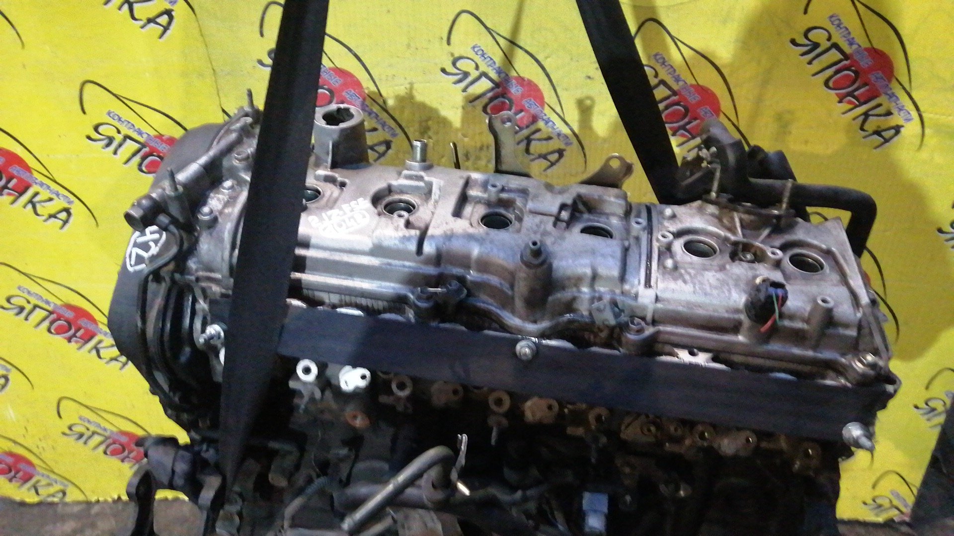 ДВС/TOY/2JZ-FSE/PROGRES/CROWN/CROWN MAJESTA/JCG11/JZS177/1900046531/1900046530/1900046621/1900046440