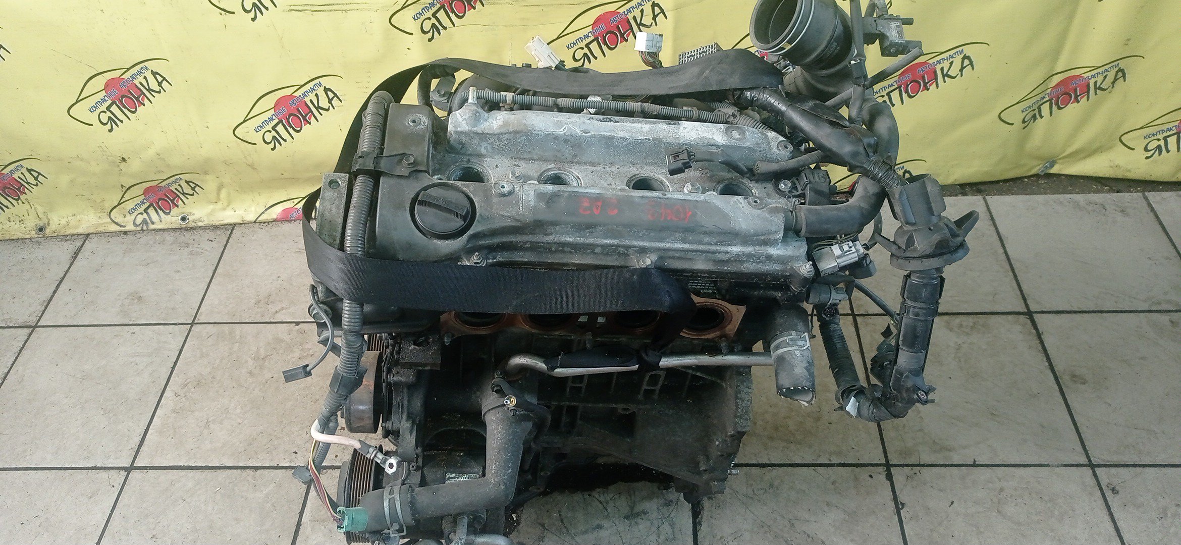 ДВС/TOY/2AZ-FE/2AZ/DAIHATSU/ALPHARD/ALTIS/BLADE/CAMRY/ESTIMA/HARRIER/HIGHLANDER/KLUGER V/MARK X ZIO/RAV4/SOLARA/PREVIA/VELLFIRE/IPSUM/ACA20/ACA20W/ACA21/ACA21W/ACA23/ACA26/ACA28/ACA31W/ACA33/ACA36W/ACA38/ACR30W/ACR40W/ACR50W/ACR55W/ACU10W/ACU15W/ACU20/ACU20W/ACU25W/ACU30W/ACU35W/ACV30/ACV30N/ACV35/ACV35N/ACV45/ACV40N/ACV40/ACV45N/ANA10/ANA15/ANH10W/ANH15W/ANH20W/ANH25W/AZE154H/AZE156H/ACA31/ACM21W/ACM26W/МЕХ. ДРОССЕЛЬ/1900028483/1900028484