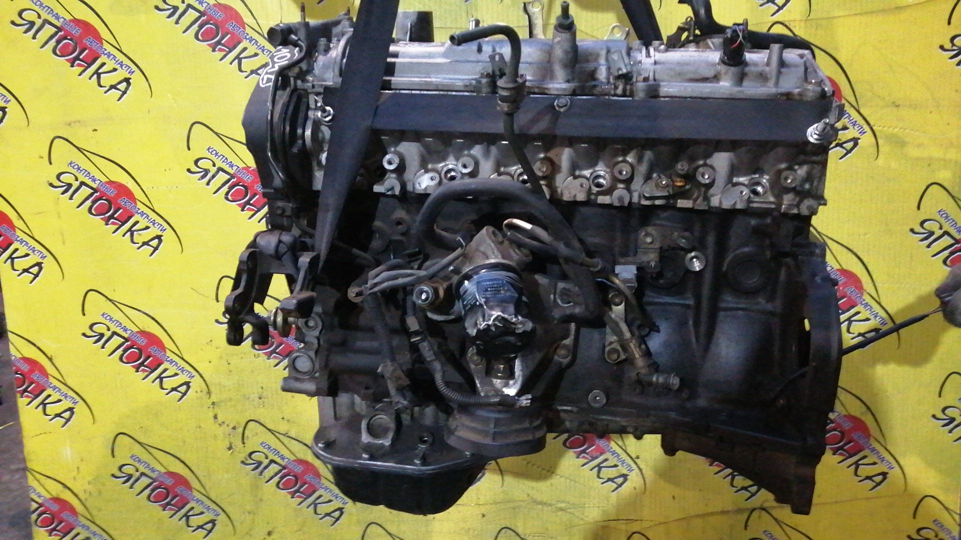 ДВС/TOY/2JZ-FSE/PROGRES/CROWN/CROWN MAJESTA/JCG11/JZS177/1900046531/1900046530/1900046621/1900046440
