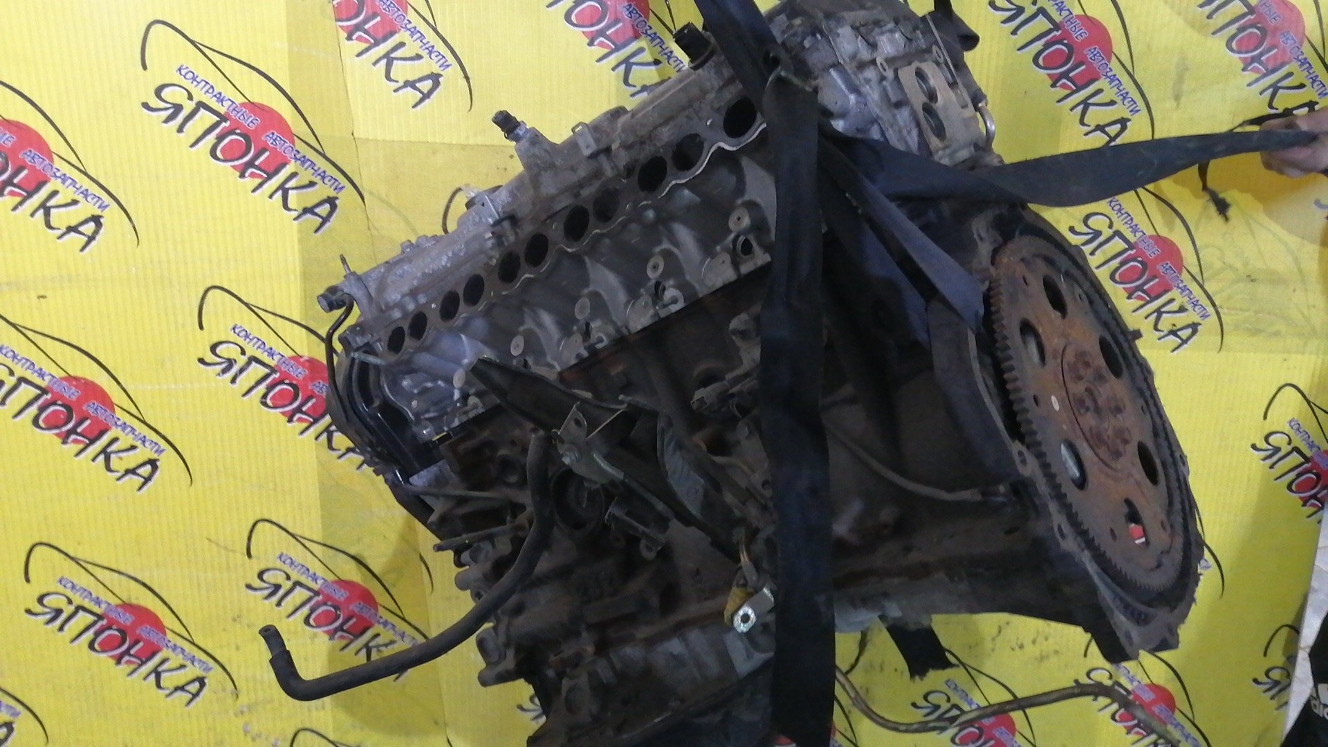 ДВС/TOY/2JZ-FSE/PROGRES/CROWN/CROWN MAJESTA/JCG11/JZS177/1900046531/1900046530/1900046621/1900046440