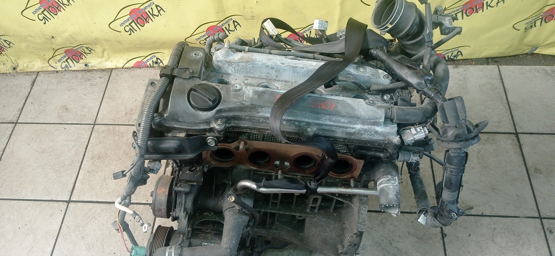 ДВС/TOY/2AZ-FE/2AZ/DAIHATSU/ALPHARD/ALTIS/BLADE/CAMRY/ESTIMA/HARRIER/HIGHLANDER/KLUGER V/MARK X ZIO/RAV4/SOLARA/PREVIA/VELLFIRE/IPSUM/ACA20/ACA20W/ACA21/ACA21W/ACA23/ACA26/ACA28/ACA31W/ACA33/ACA36W/ACA38/ACR30W/ACR40W/ACR50W/ACR55W/ACU10W/ACU15W/ACU20/ACU20W/ACU25W/ACU30W/ACU35W/ACV30/ACV30N/ACV35/ACV35N/ACV45/ACV40N/ACV40/ACV45N/ANA10/ANA15/ANH10W/ANH15W/ANH20W/ANH25W/AZE154H/AZE156H/ACA31/ACM21W/ACM26W/МЕХ. ДРОССЕЛЬ/1900028483/1900028484
