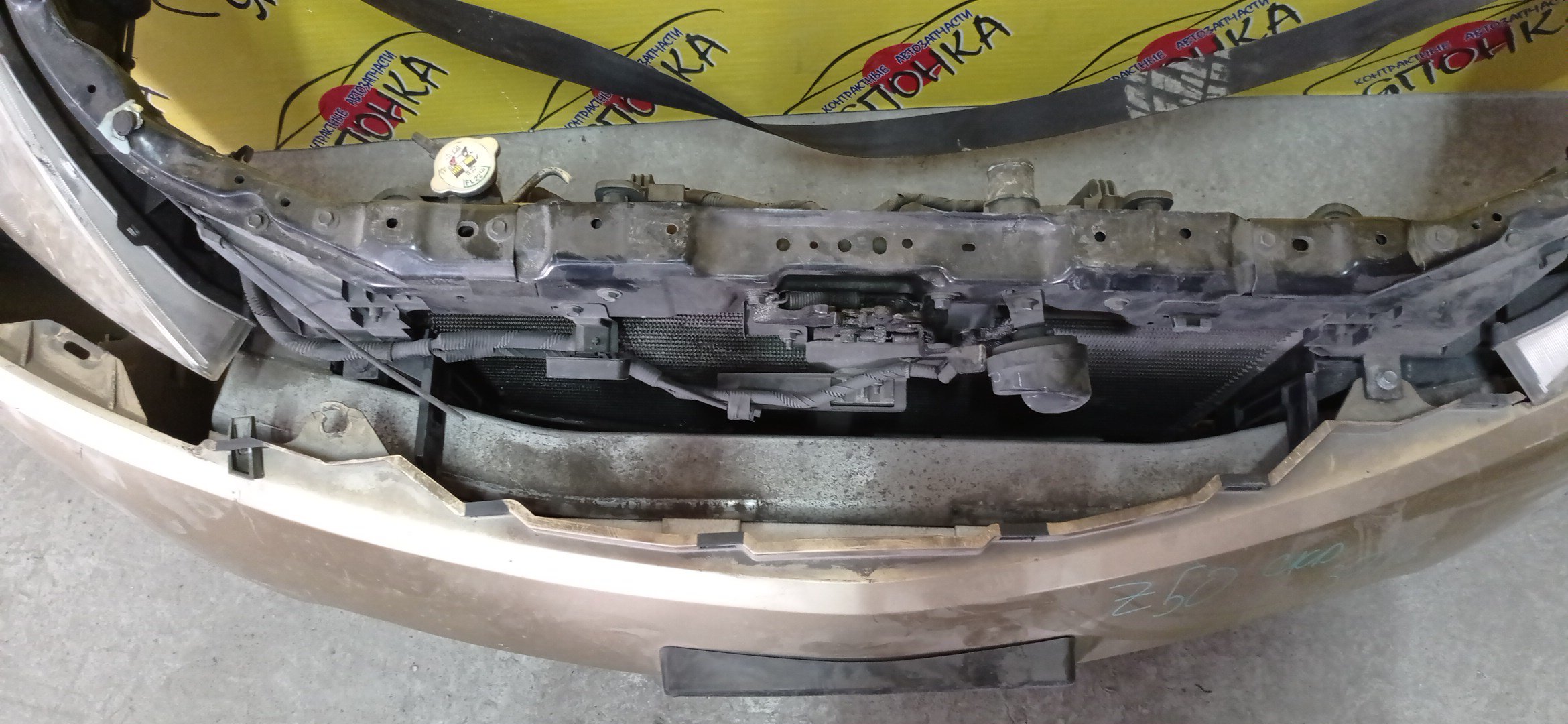 NOSECUT/NIS/MURANO/PNZ50/PZ50/TZ50/С ТУМАНКАМИ/XENON/62530CC40B/21460CN100/62500CA000/62500CC40A/¶35878/STC0102/KRC1336RR/STNS773940/RC94907/LRAC1414/92110CA000