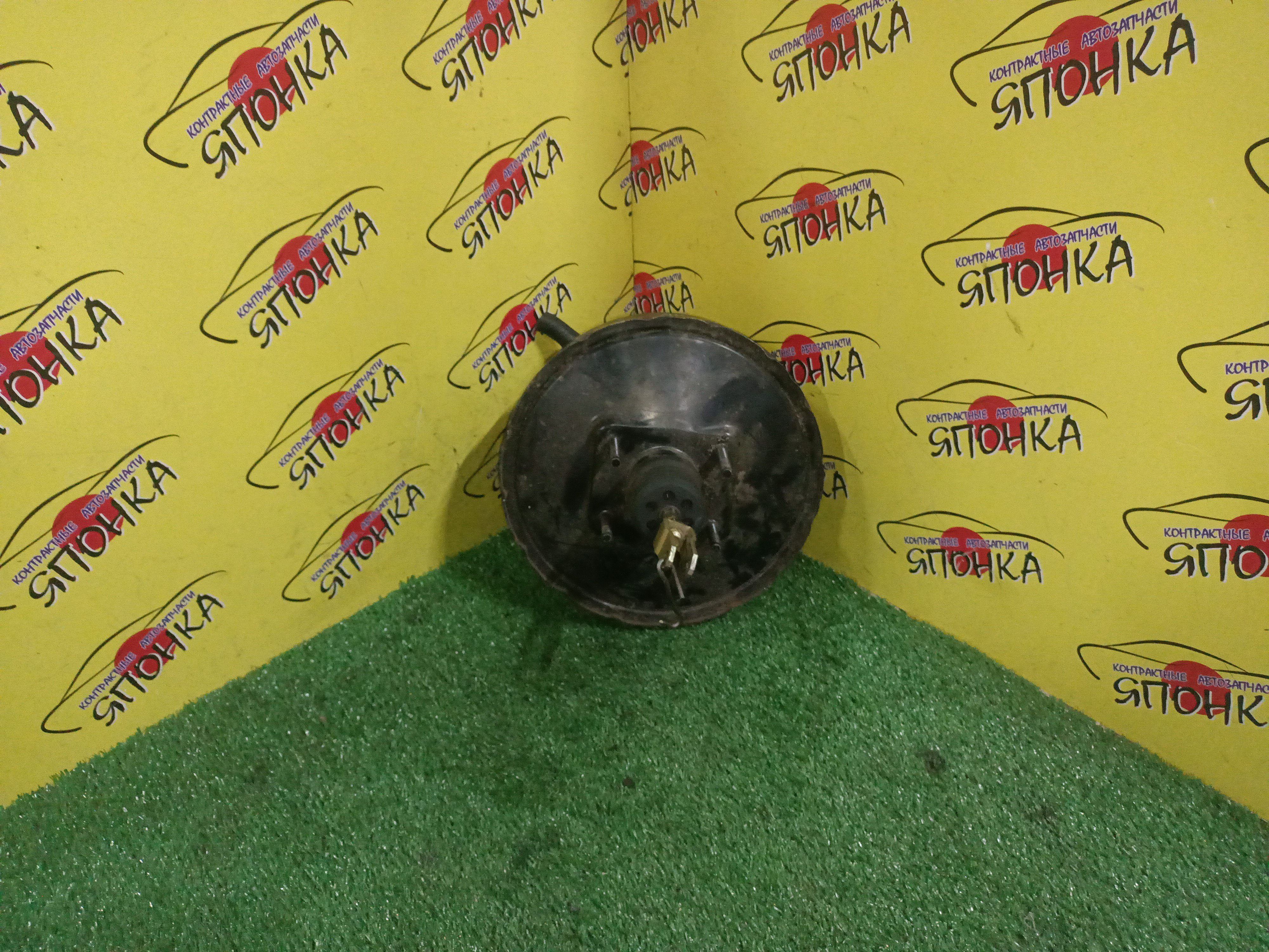 ВАКУУМ/NIS/R'NESSA/N30/NN30/PNN30/2 ШПИЛЬКИ