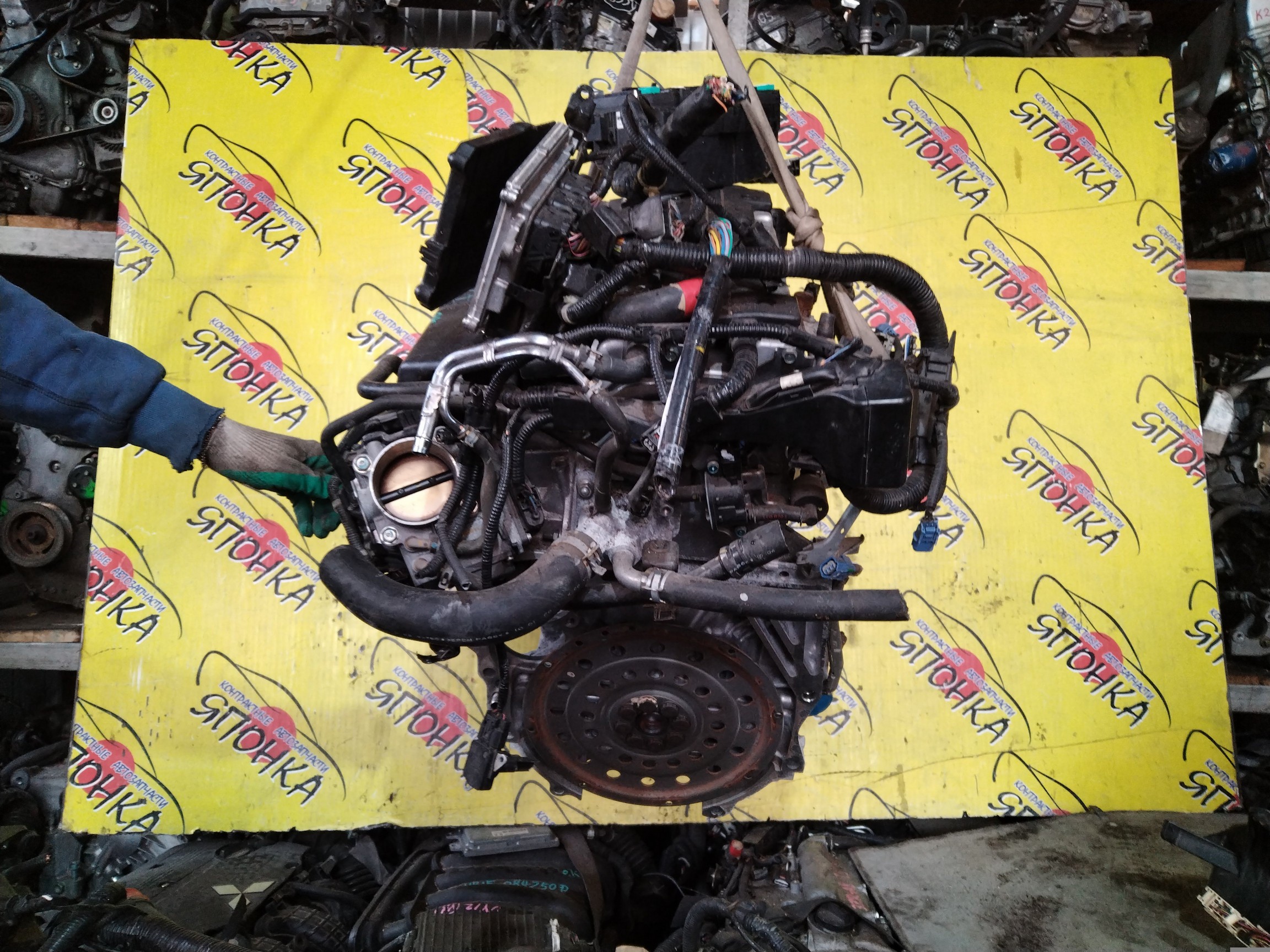 ДВС/HON/K24A/ACCORD/CR-V/STEPWGN/ODYSSEY/RD6/RD7/RF7/RF8/CL9/CM2/CM3/RB1/RB2/ЭЛЕКТРО ЗАСЛОНКА/ПЛАСТИКОВЫЙ КОЛЛЕКТОР