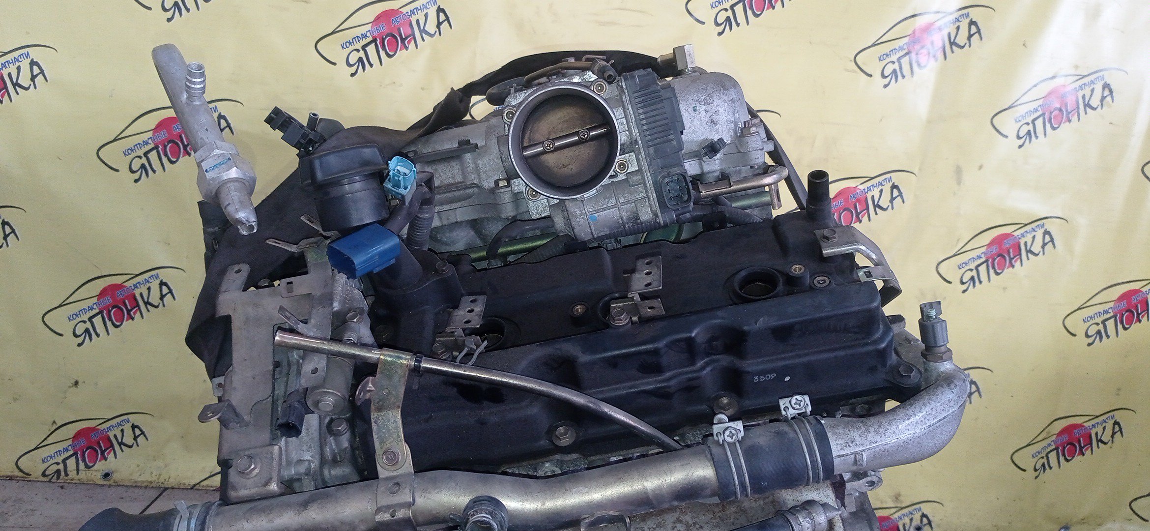 ДВС/NIS/VQ35 DE/ELGRAND/E51/VVTI/10102WL5A0/10102WL0A0