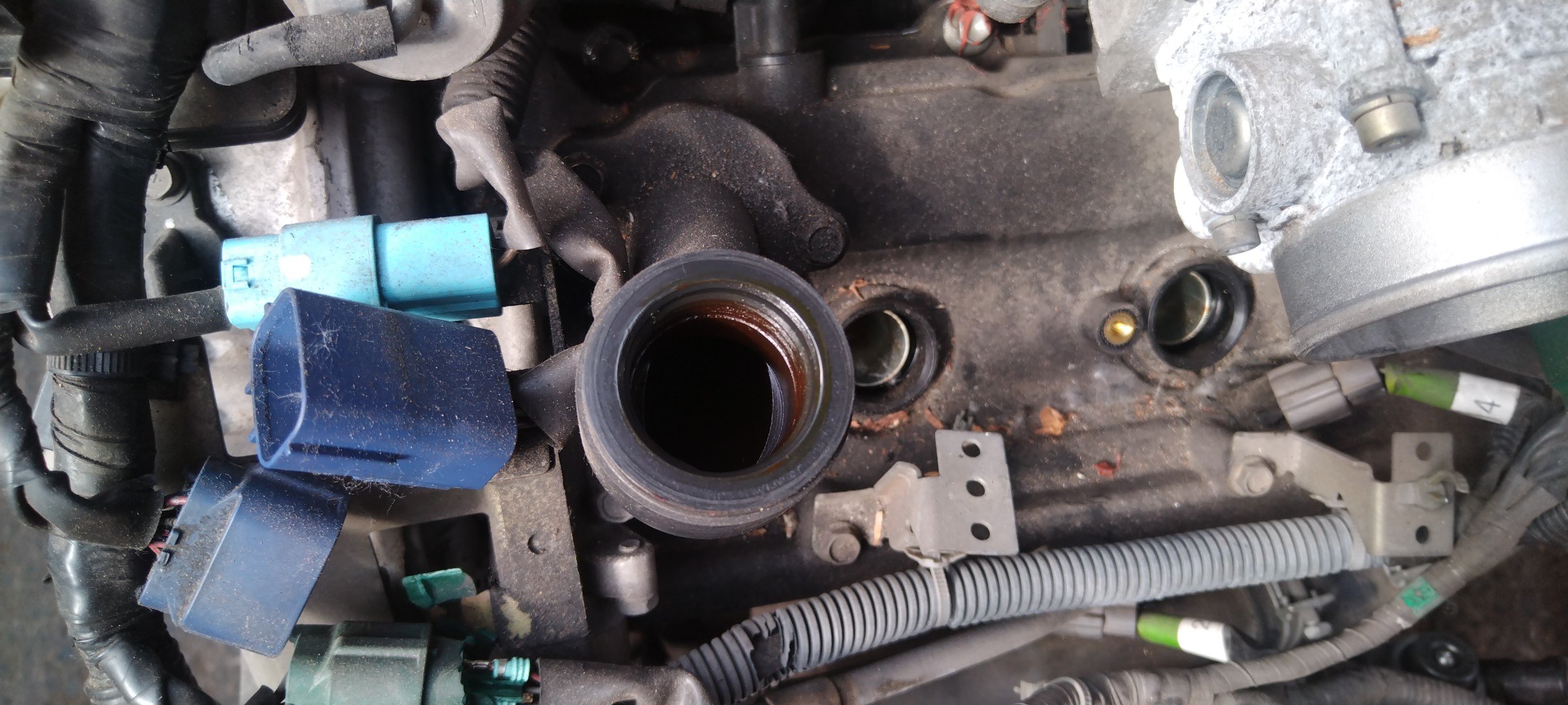 ДВС/NIS/VQ35 DE/ELGRAND/E51/VVTI/10102WL5A0/10102WL0A0