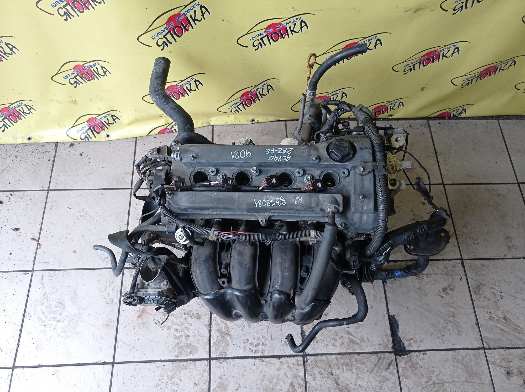 ДВС/TOY/2AZ-FE/DAIHATSU/ALPHARD/ALTIS/BLADE/CAMRY/ESTIMA/HARRIER/HIGHLANDER/KLUGER V/MARK X ZIO/RAV4/SOLARA/PREVIA/VELLFIRE/IPSUM/ACA20/ACA20W/ACA21/ACA21W/ACA23/ACA26/ACA28/ACA31W/ACA33/ACA36W/ACA38/ACR30W/ACR40W/ACR50W/ACR55W/ACU10W/ACU15W/ACU20/ACU20W/ACU25W/ACU30W/ACU35W/ACV30/ACV30N/ACV35/ACV35N/ACV45/ACV40N/ACV40/ACV45N/ANA10/ANA15/ANH10W/ANH15W/ANH20W/ANH25W/AZE154H/AZE156H/ACA31/ACM21W/ACM26W/ЭЛЕКТРО ДРОСЕЛЬ