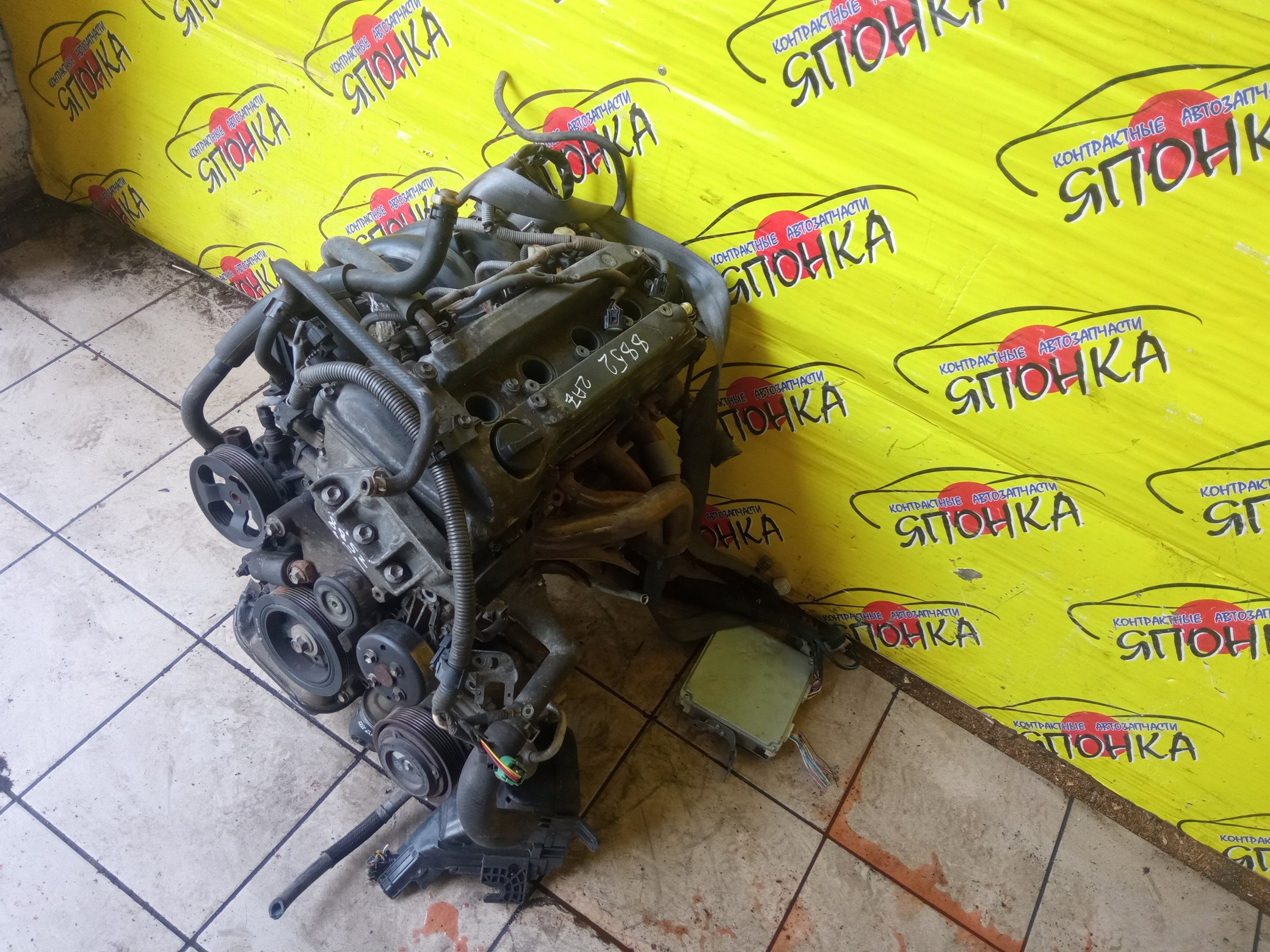 ДВС/TOY/2AZ-FE/DAIHATSU/ALPHARD/ALTIS/BLADE/CAMRY/ESTIMA/HARRIER/HIGHLANDER/KLUGER V/MARK X ZIO/RAV4/SOLARA/PREVIA/VELLFIRE/IPSUM/ACA20/ACA20W/ACA21/ACA21W/ACA23/ACA26/ACA28/ACA31W/ACA33/ACA36W/ACA38/ACR30W/ACR40W/ACR50W/ACR55W/ACU10W/ACU15W/ACU20/ACU20W/ACU25W/ACU30W/ACU35W/ACV30/ACV30N/ACV35/ACV35N/ACV45/ACV40N/ACV40/ACV45N/ANA10/ANA15/ANH10W/ANH15W/ANH20W/ANH25W/AZE154H/AZE156H/ACA31/ACM21W/ACM26W/ЭЛЕКТРО ДРОСЕЛЬ