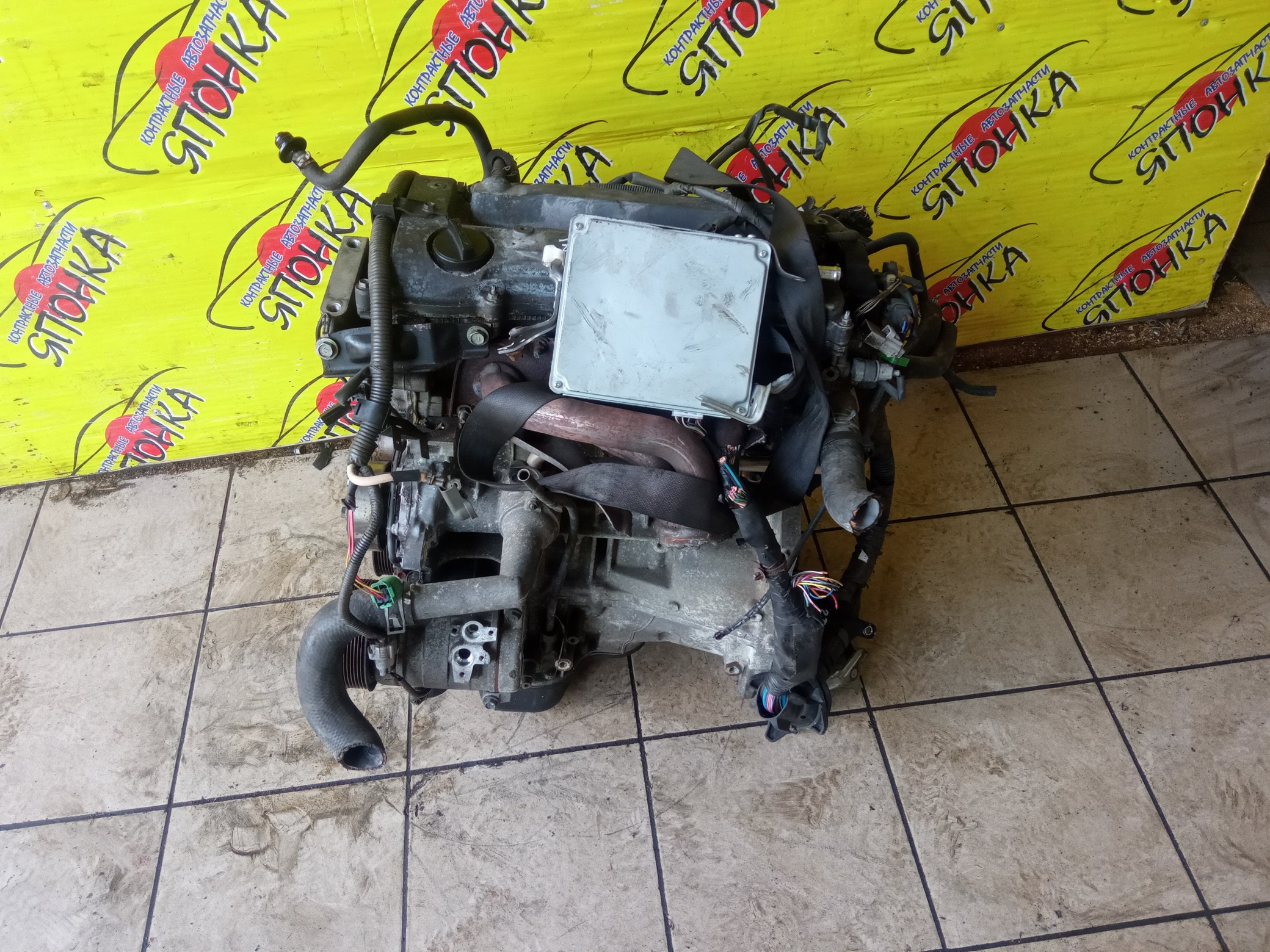 ДВС/TOY/2AZ-FE/DAIHATSU/ALPHARD/ALTIS/BLADE/CAMRY/ESTIMA/HARRIER/HIGHLANDER/KLUGER V/MARK X ZIO/RAV4/SOLARA/PREVIA/VELLFIRE/IPSUM/ACA20/ACA20W/ACA21/ACA21W/ACA23/ACA26/ACA28/ACA31W/ACA33/ACA36W/ACA38/ACR30W/ACR40W/ACR50W/ACR55W/ACU10W/ACU15W/ACU20/ACU20W/ACU25W/ACU30W/ACU35W/ACV30/ACV30N/ACV35/ACV35N/ACV45/ACV40N/ACV40/ACV45N/ANA10/ANA15/ANH10W/ANH15W/ANH20W/ANH25W/AZE154H/AZE156H/ACA31/ACM21W/ACM26W/ЭЛЕКТРО ДРОСЕЛЬ