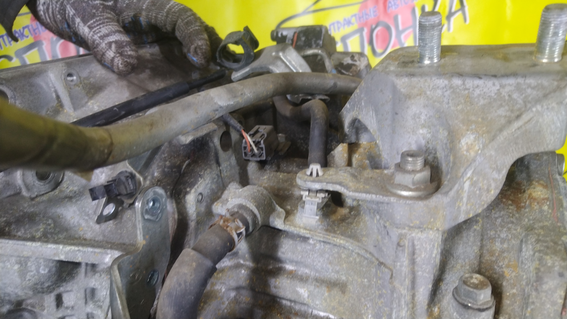 АКПП/MAZ/ZJ-VE/ZY-VE/VERISA/DEMIO/DE3AS/DE3FS/DE5FS/DY3R/DY3W/DY5R/DY5W/DC5R/DC5W/БЕЗ ДАТЧИКА/FNF619090C