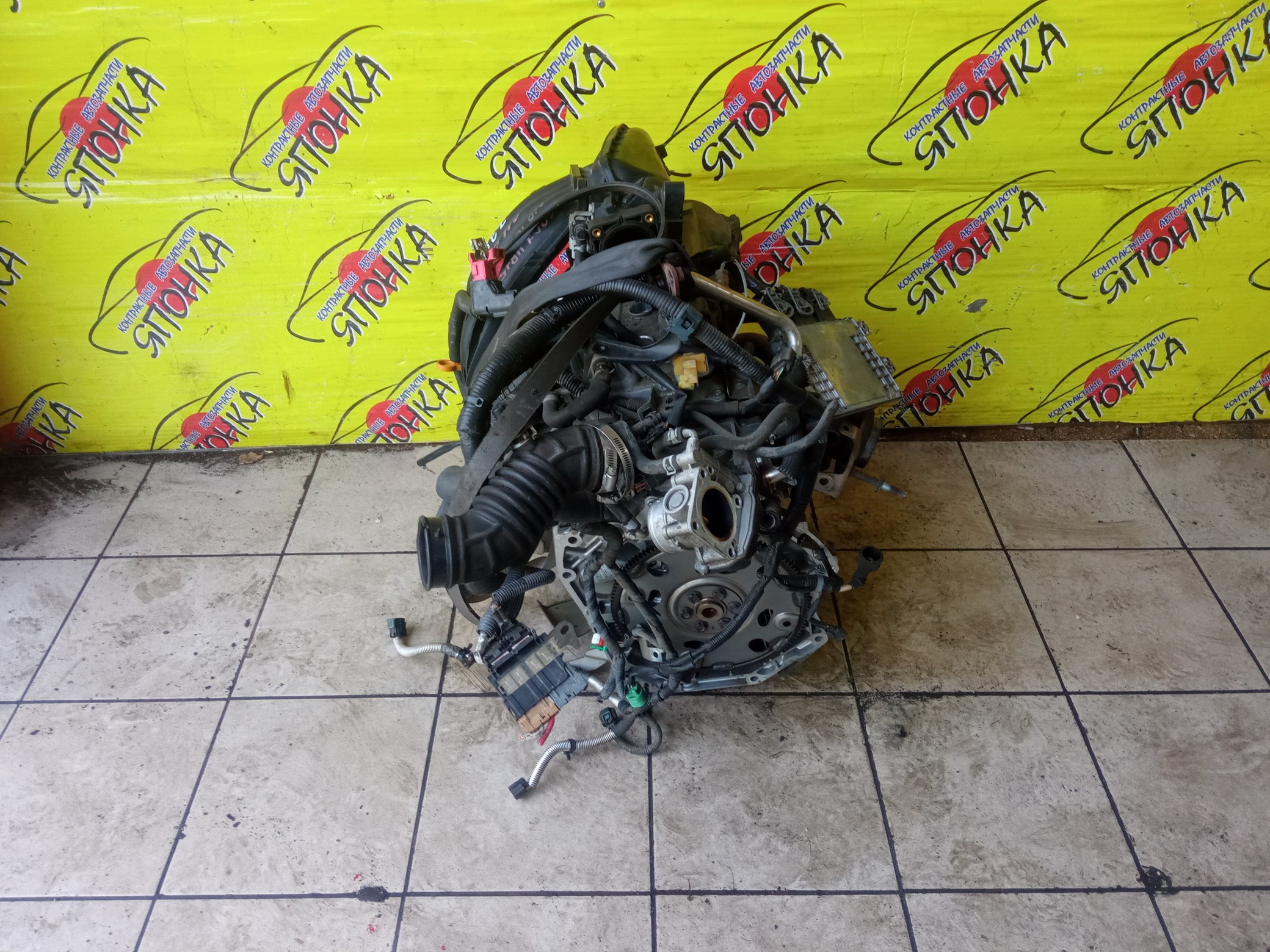 ДВС/NIS/HR15/MAZDA/AD/BLUEBIRD SYLPHY/CUBE/CUBE CUBIC/FAMILIA VAN/MARCH/NOTE/TIIDA/TIIDA LATIO/WINGROAD/BVY12/C11/E11/G11/SC11/VY12/Y12/YGZ11/YK12/YZ11/Z12/101021JY0F