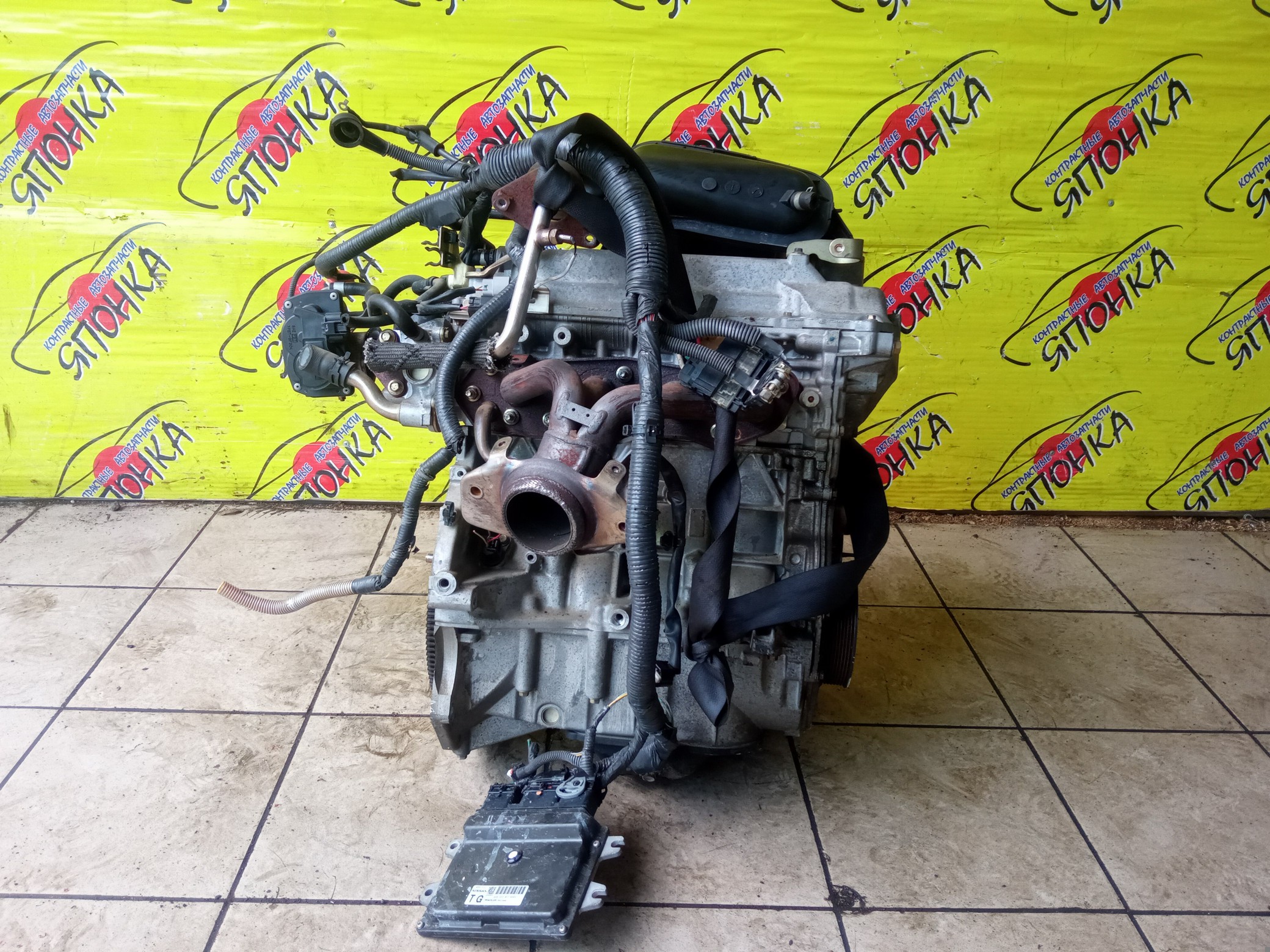 ДВС/NIS/HR15/MAZDA/AD/BLUEBIRD SYLPHY/CUBE/CUBE CUBIC/FAMILIA VAN/MARCH/NOTE/TIIDA/TIIDA LATIO/WINGROAD/BVY12/C11/E11/G11/SC11/VY12/Y12/YGZ11/YK12/YZ11/Z12/101021JY0F