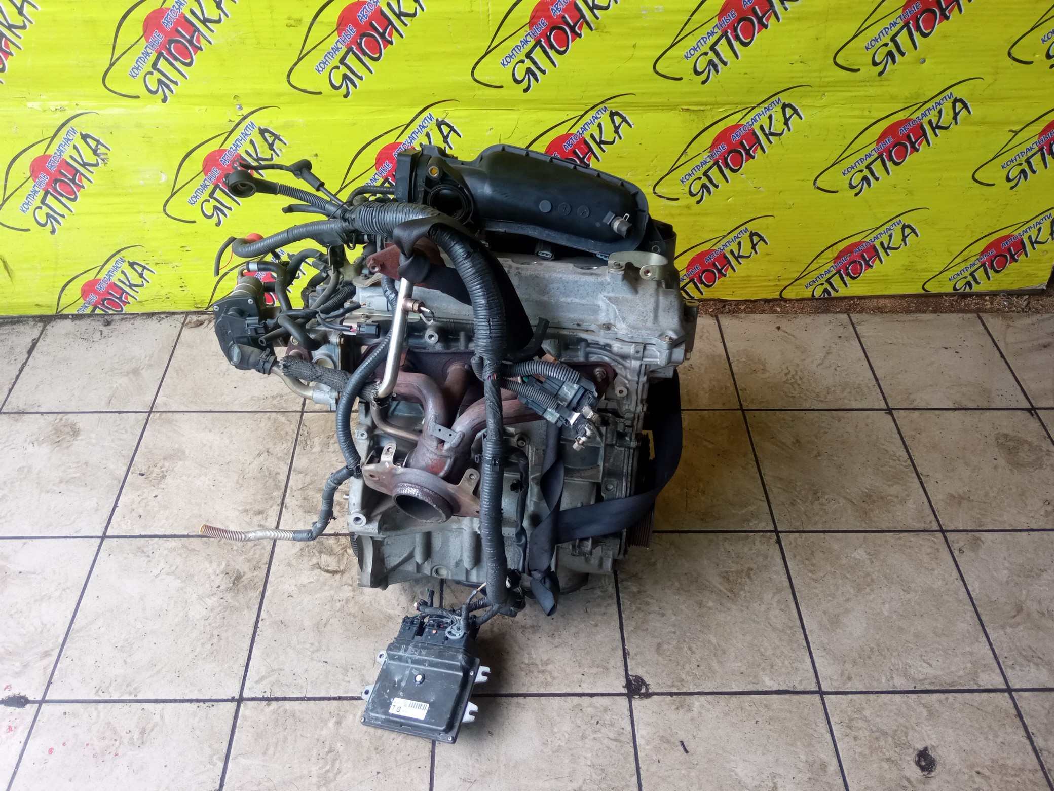 ДВС/NIS/HR15/MAZDA/AD/BLUEBIRD SYLPHY/CUBE/CUBE CUBIC/FAMILIA VAN/MARCH/NOTE/TIIDA/TIIDA LATIO/WINGROAD/BVY12/C11/E11/G11/SC11/VY12/Y12/YGZ11/YK12/YZ11/Z12/101021JY0F