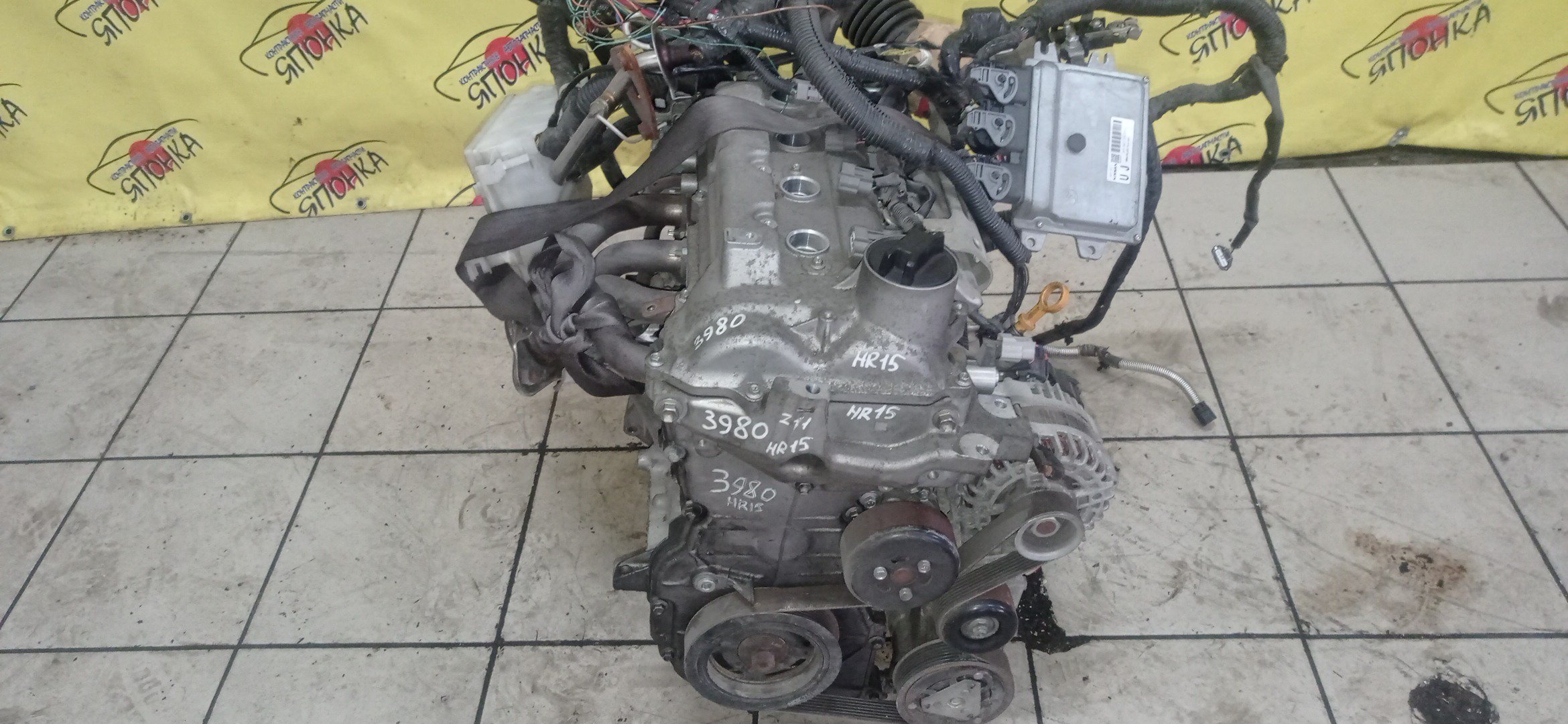 ДВС/NIS/HR15/MAZDA/AD/BLUEBIRD SYLPHY/CUBE/CUBE CUBIC/FAMILIA VAN/MARCH/NOTE/TIIDA/TIIDA LATIO/WINGROAD/BVY12/C11/E11/G11/SC11/VY12/Y12/YGZ11/YK12/YZ11/Z12/101021JY0F