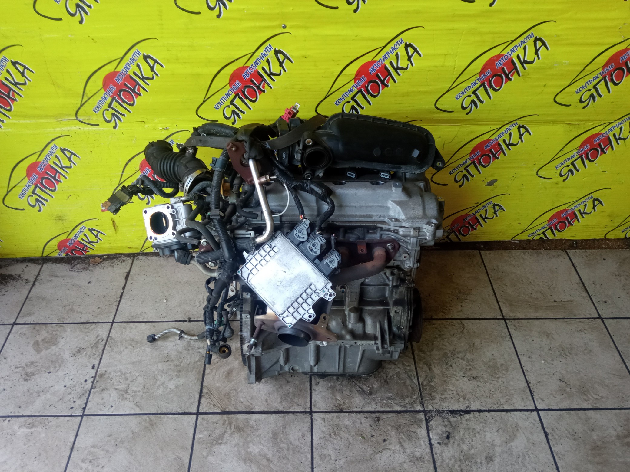 ДВС/NIS/HR15/MAZDA/AD/BLUEBIRD SYLPHY/CUBE/CUBE CUBIC/FAMILIA VAN/MARCH/NOTE/TIIDA/TIIDA LATIO/WINGROAD/BVY12/C11/E11/G11/SC11/VY12/Y12/YGZ11/YK12/YZ11/Z12/101021JY0F