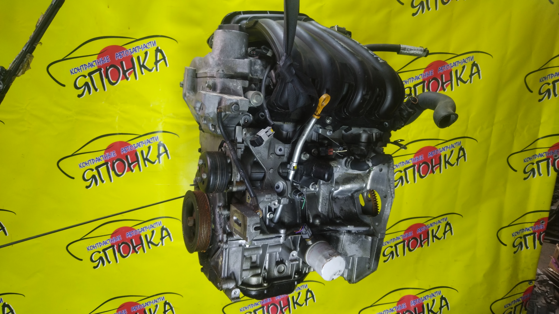 ДВС/NIS/HR15/MAZDA/AD/BLUEBIRD SYLPHY/CUBE/CUBE CUBIC/FAMILIA VAN/MARCH/NOTE/TIIDA/TIIDA LATIO/WINGROAD/BVY12/C11/E11/G11/SC11/VY12/Y12/YGZ11/YK12/YZ11/Z12/101021JY0F