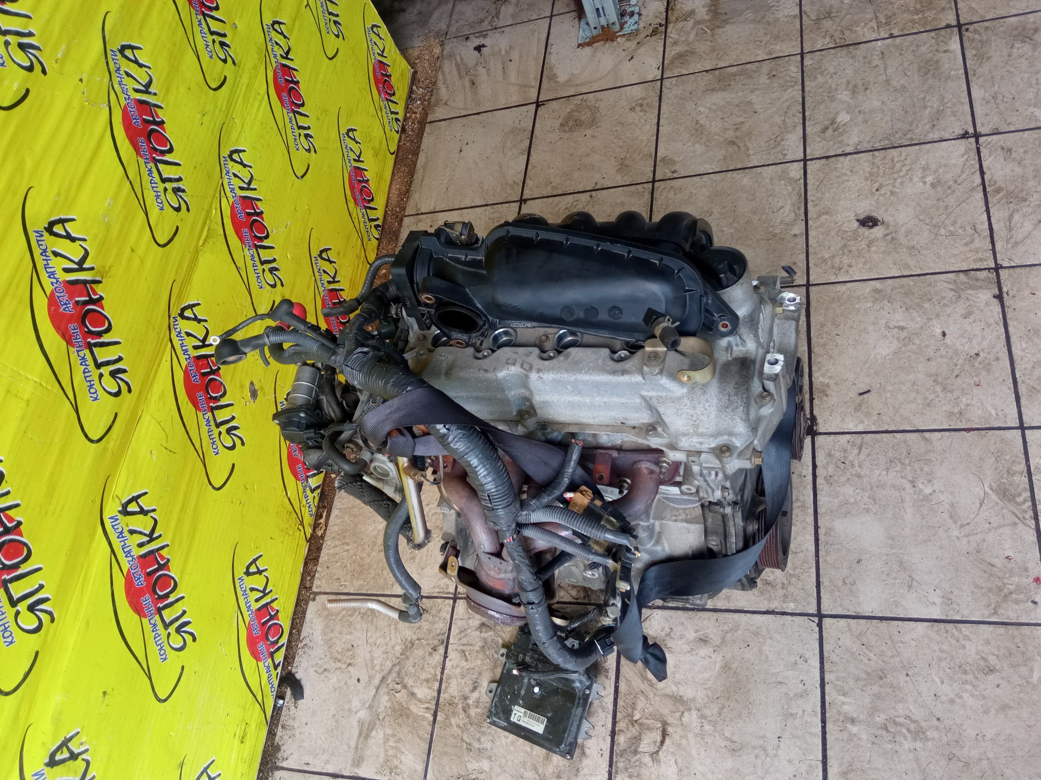 ДВС/NIS/HR15/MAZDA/AD/BLUEBIRD SYLPHY/CUBE/CUBE CUBIC/FAMILIA VAN/MARCH/NOTE/TIIDA/TIIDA LATIO/WINGROAD/BVY12/C11/E11/G11/SC11/VY12/Y12/YGZ11/YK12/YZ11/Z12/101021JY0F