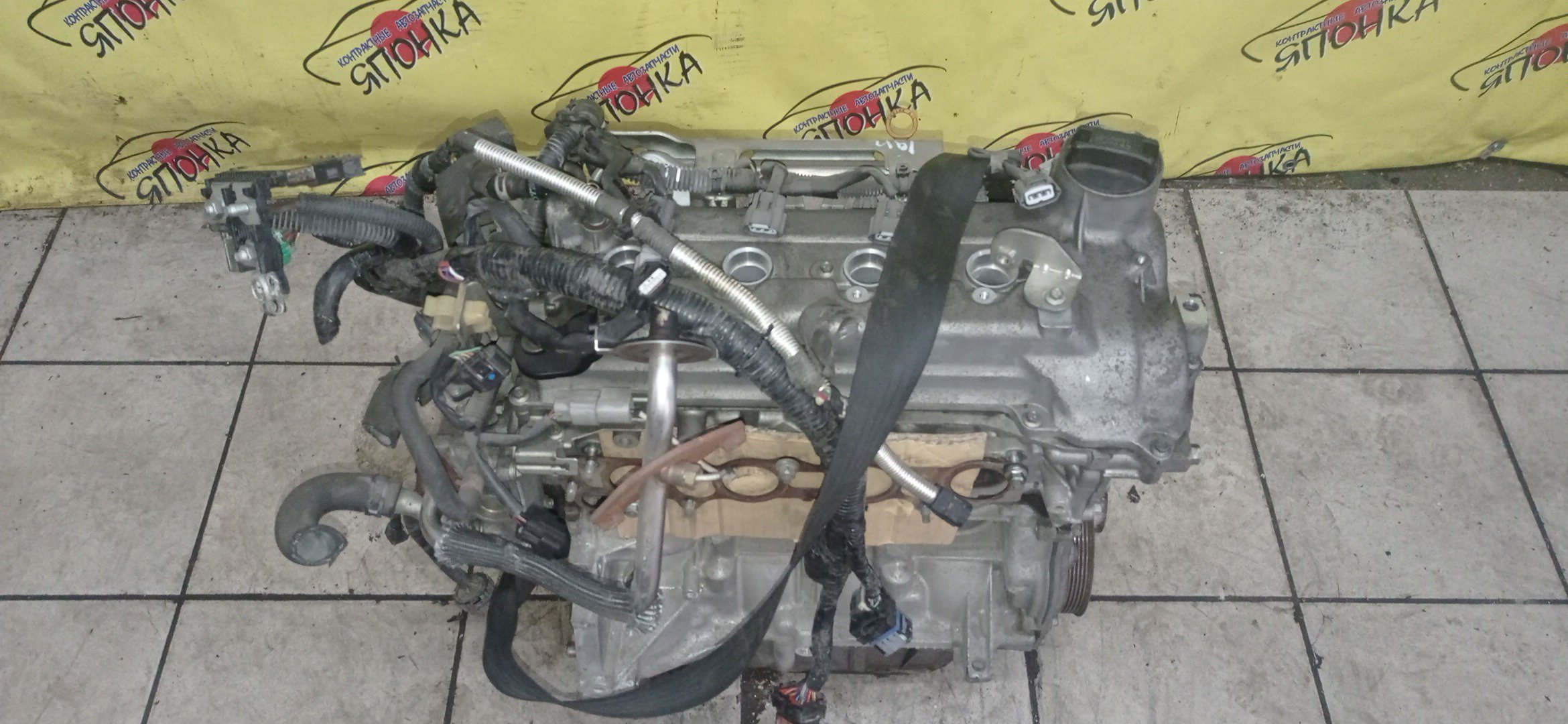 ДВС/NIS/HR15/MAZDA/AD/BLUEBIRD SYLPHY/CUBE/CUBE CUBIC/FAMILIA VAN/MARCH/NOTE/TIIDA/TIIDA LATIO/WINGROAD/BVY12/C11/E11/G11/SC11/VY12/Y12/YGZ11/YK12/YZ11/Z12/101021JY0F