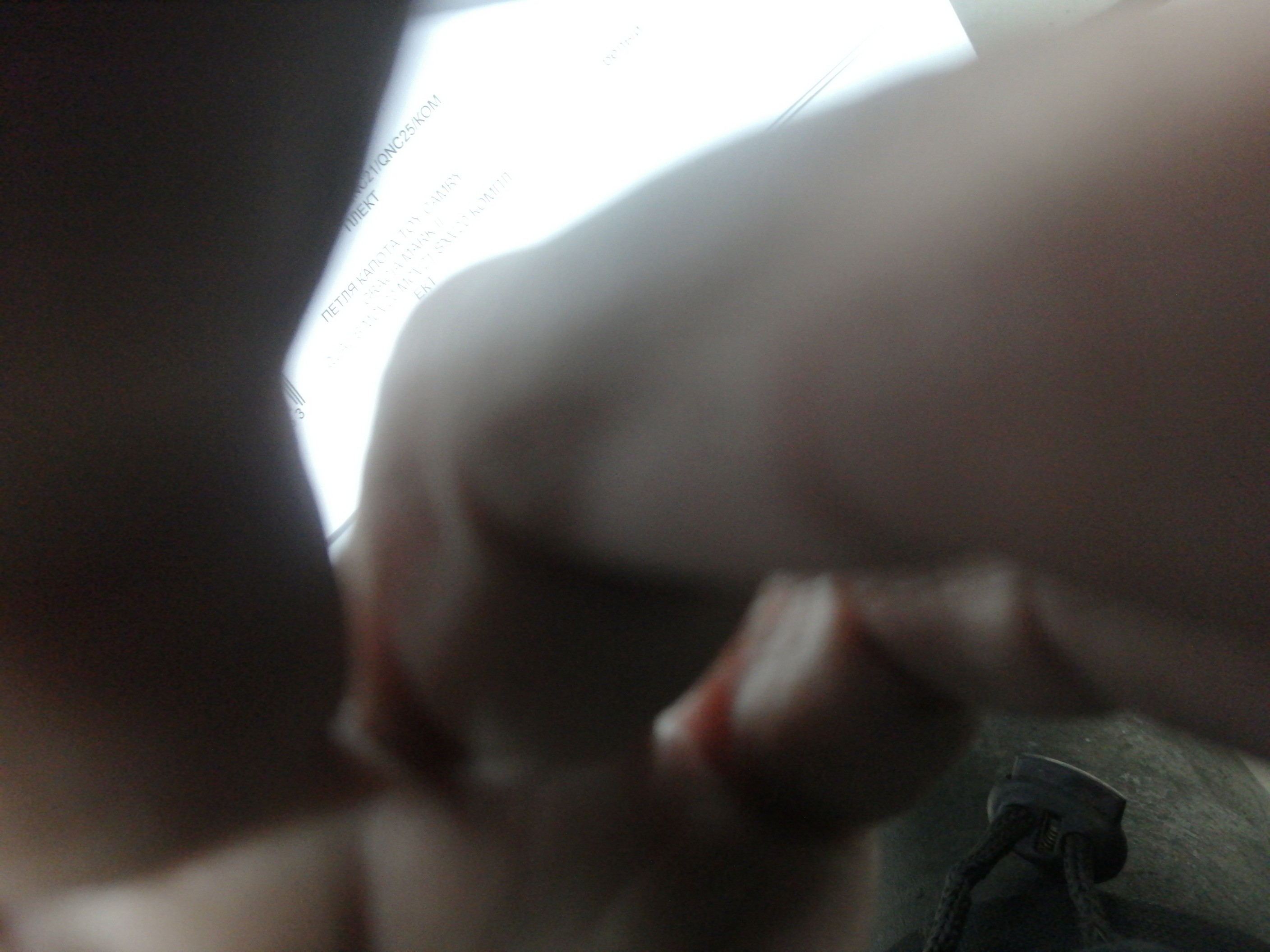 ПЕТЛЯ КАПОТА/TOY/AVENSIS/AZT250/T250/КОМПЛЕКТ