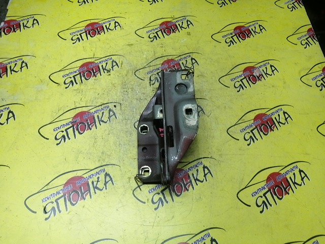 ПЕТЛЯ КАПОТА/NIS/BLUEBIRD SYLPHY/FG10/QG10/TG10/QNG10/КОМПЛЕКТ