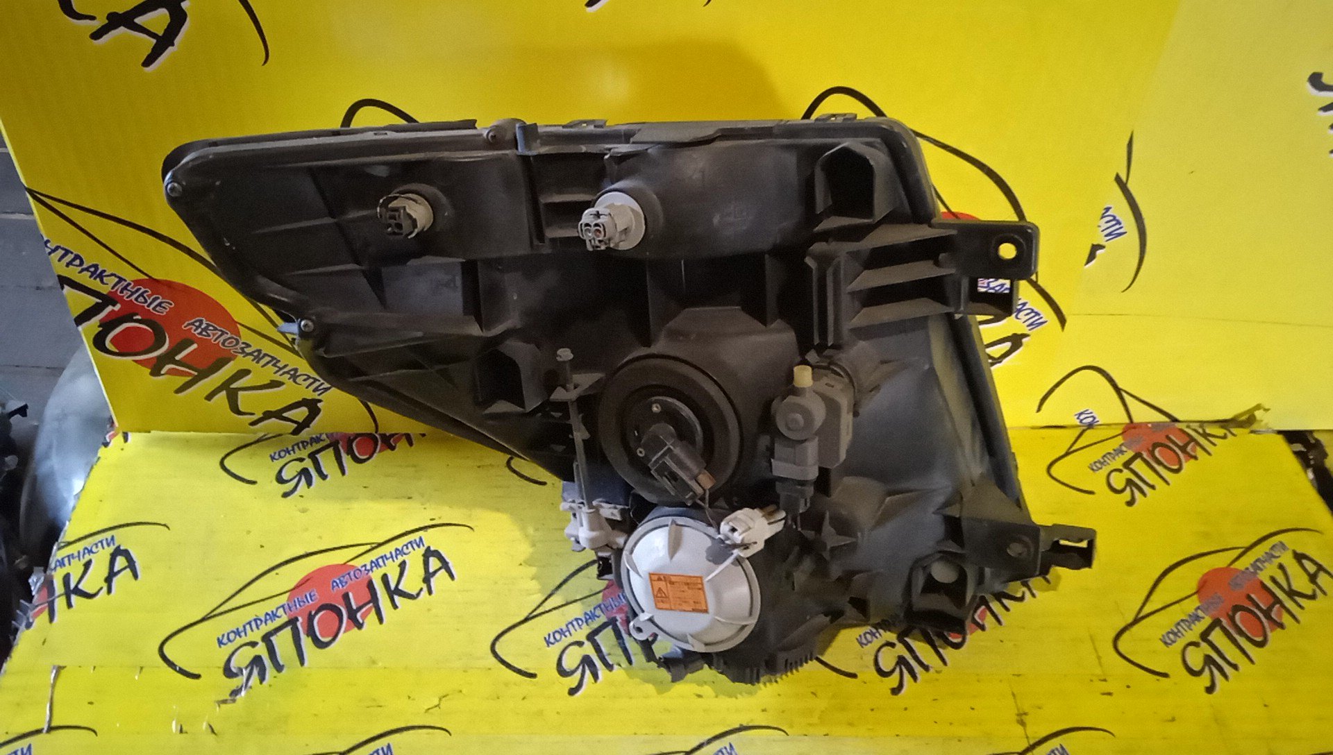 ФАРА/NIS/ELGRAND/E51/ME51/MNE51/NE51/10024826/XENON/L