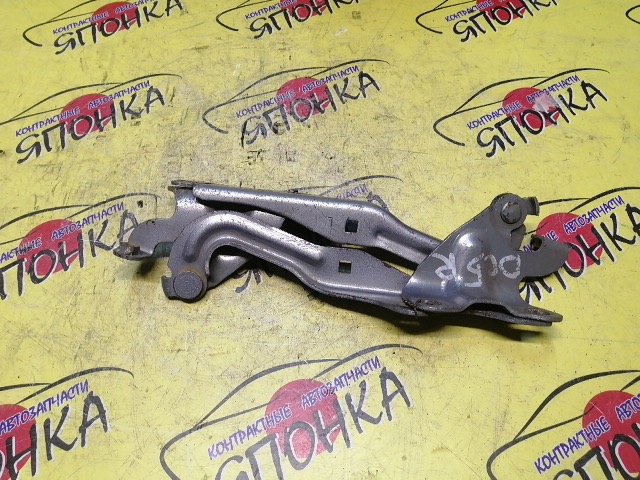 ПЕТЛЯ КАПОТА/MAZ/VERISA/DC5R/DC5W/КОМПЛЕКТ