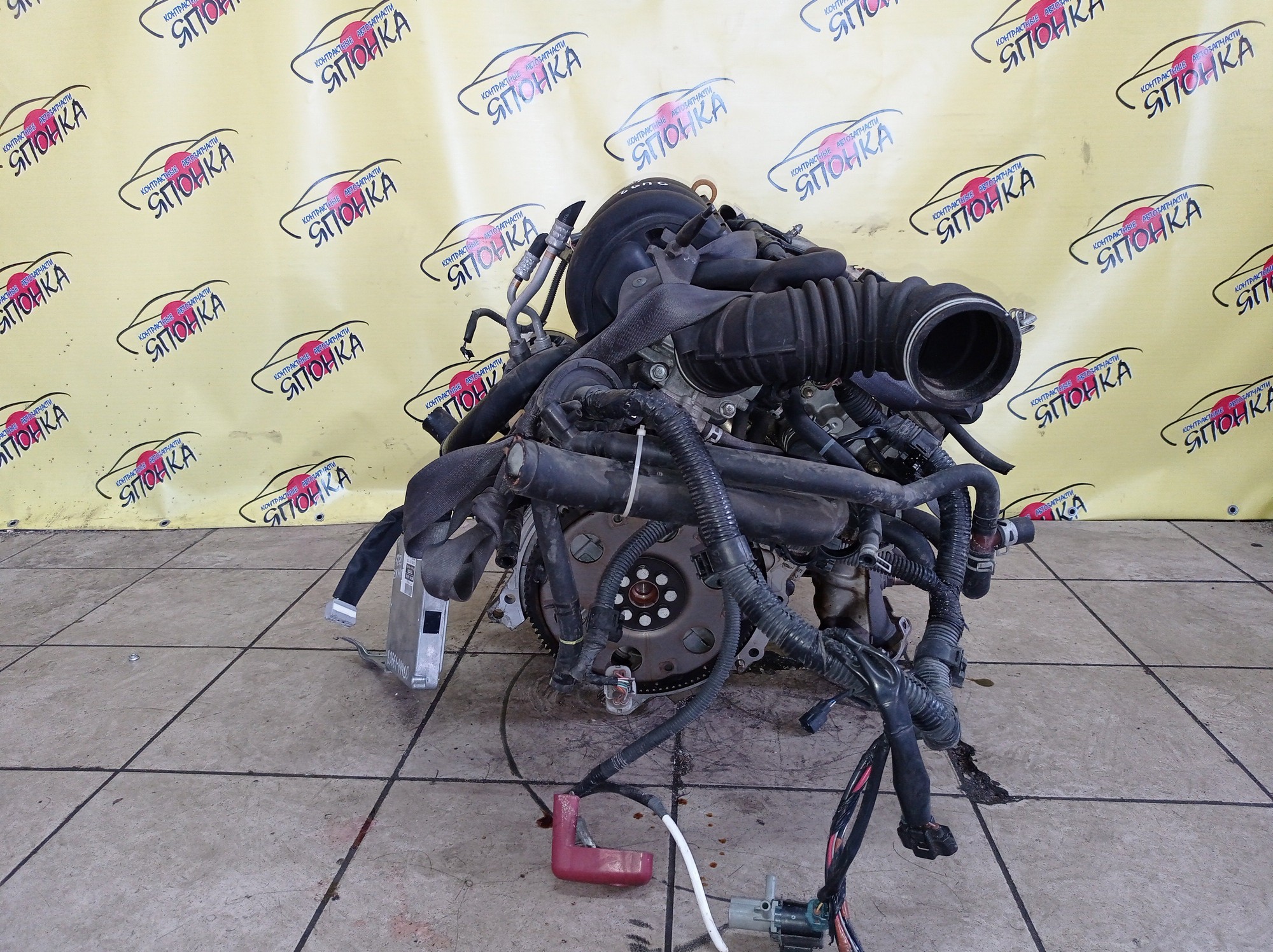 ПРИВОД/TOY/CALDINA/CAMRY/CARINA/CARINA ED/CELICA/CORONA/CORONA EXIV/CORONA PREMIO/CURREN/GAIA/IPSUM/NADIA/RAV4/VISTA/CV30/CV40/ST170/ST170G/ST171/ST180/ST181/ST182/ST183/ST190/ST190G/ST191/ST191G/ST200/ST201/ST202/ST203/ST204/ST206/ST207/ST208/ST210/ST210G/SV21/SV30/SV32/SV33/SV40/SV41/SV42/SXA15/SXA15G/SXA16/SXA16G/SXM10G/SXN10/SXN10H/2C-T/3C-T/3S-FE/3S-FSE/4S-FE/5S-FE/2WD/БЕЗ ABS/F/L