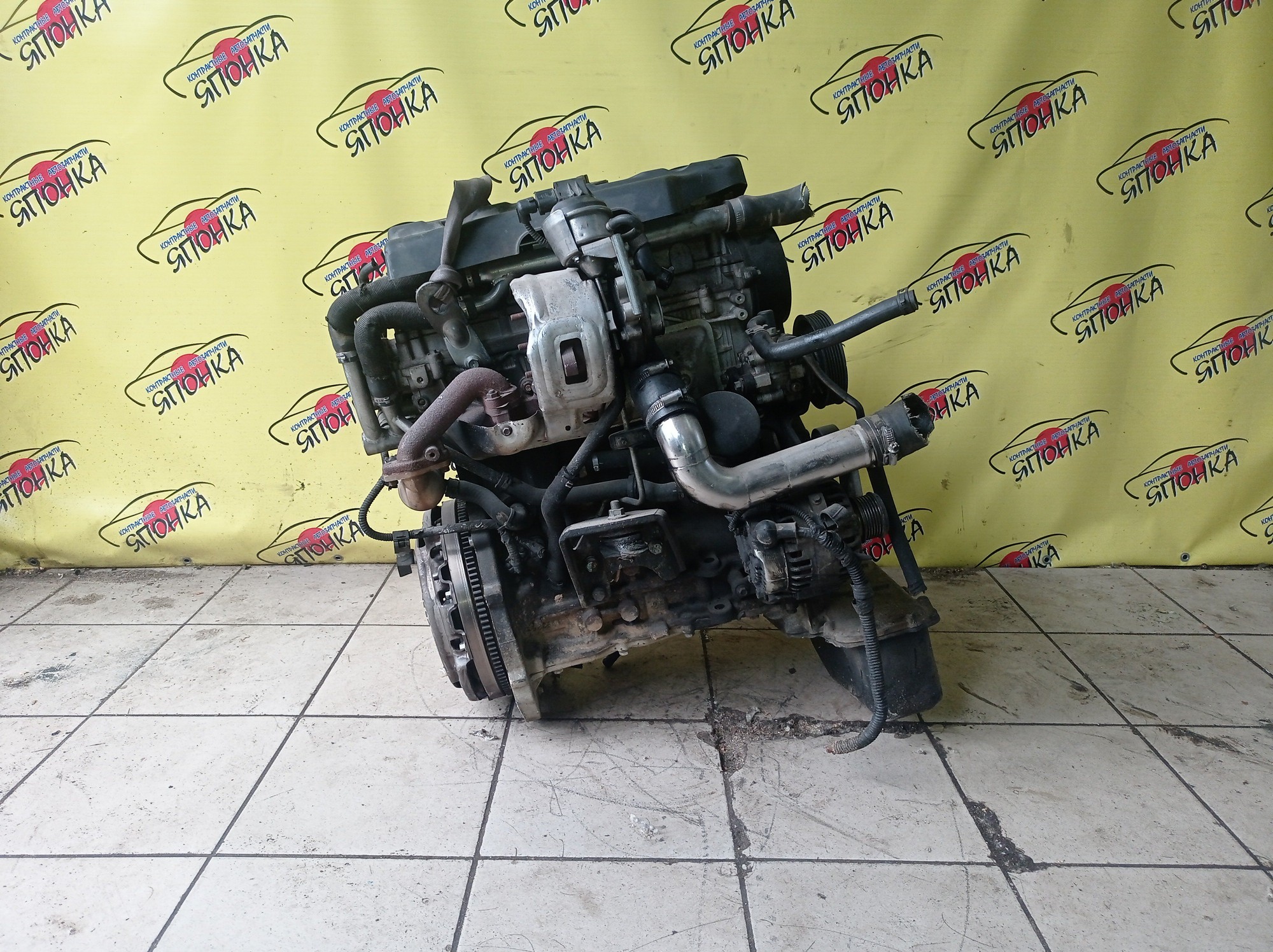 ДВС/GREAT WALL/GW4D20/HOVER H5/ДИЗЕЛЬ/1000100ED01A