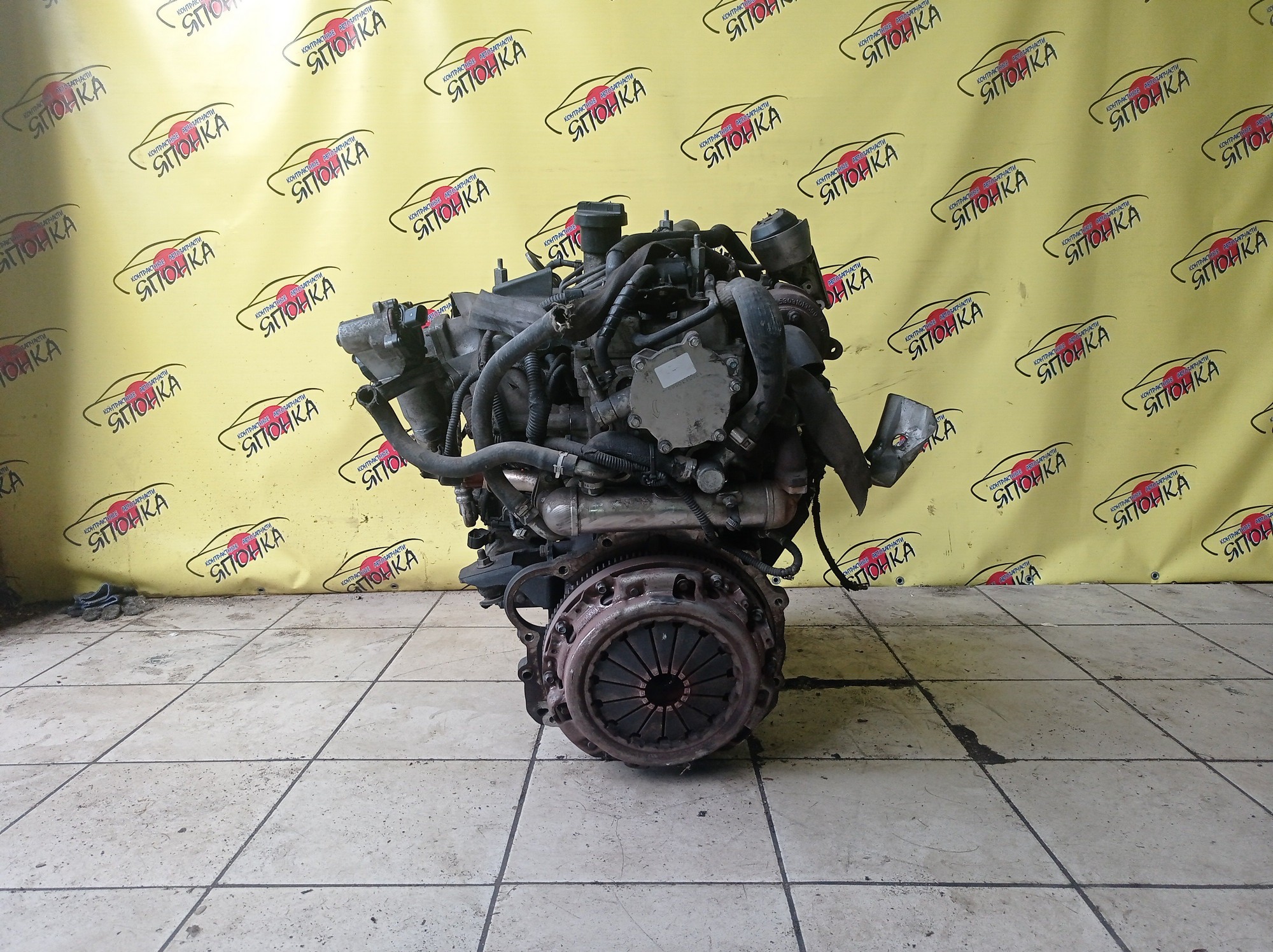 ДВС/GREAT WALL/GW4D20/HOVER H5/ДИЗЕЛЬ/1000100ED01A