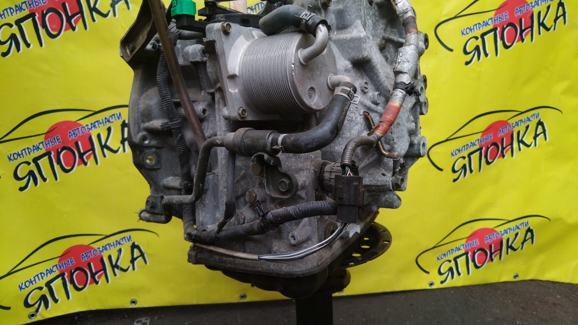 2WD/ABS/АКПП/NIS/MR20/MR20DE/X-TRAIL/LAFESTA/SERENA/BLUEBIRD SYLPHY/QASHQAI/DUALIS/J10/T31/KG11/B30/NB30/C25/CC25/KJ10/RE0F10A/CVT/310201XF05/310201XF0D/310201XF2B/310201XT0C/310201XT1A/310203UX8A/310201XT0A/310201XT0E/310201XT2B/310201XF00/310201XF1A/310201XF1E/310201XF02/310203UX4E/310201XF0B/2000250Z10/310201XT2C