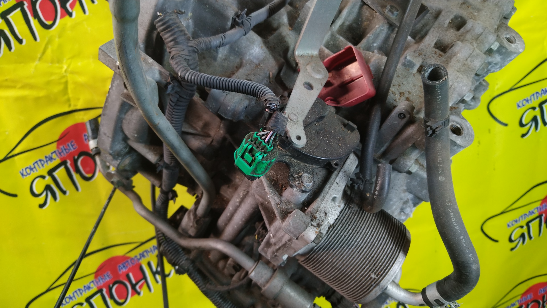 2WD/ABS/АКПП/NIS/MR20/MR20DE/X-TRAIL/LAFESTA/SERENA/BLUEBIRD SYLPHY/QASHQAI/DUALIS/J10/T31/KG11/B30/NB30/C25/CC25/KJ10/RE0F10A/CVT/310201XF05/310201XF0D/310201XF2B/310201XT0C/310201XT1A/310203UX8A/310201XT0A/310201XT0E/310201XT2B/310201XF00/310201XF1A/310201XF1E/310201XF02/310203UX4E/310201XF0B/2000250Z10/310201XT2C