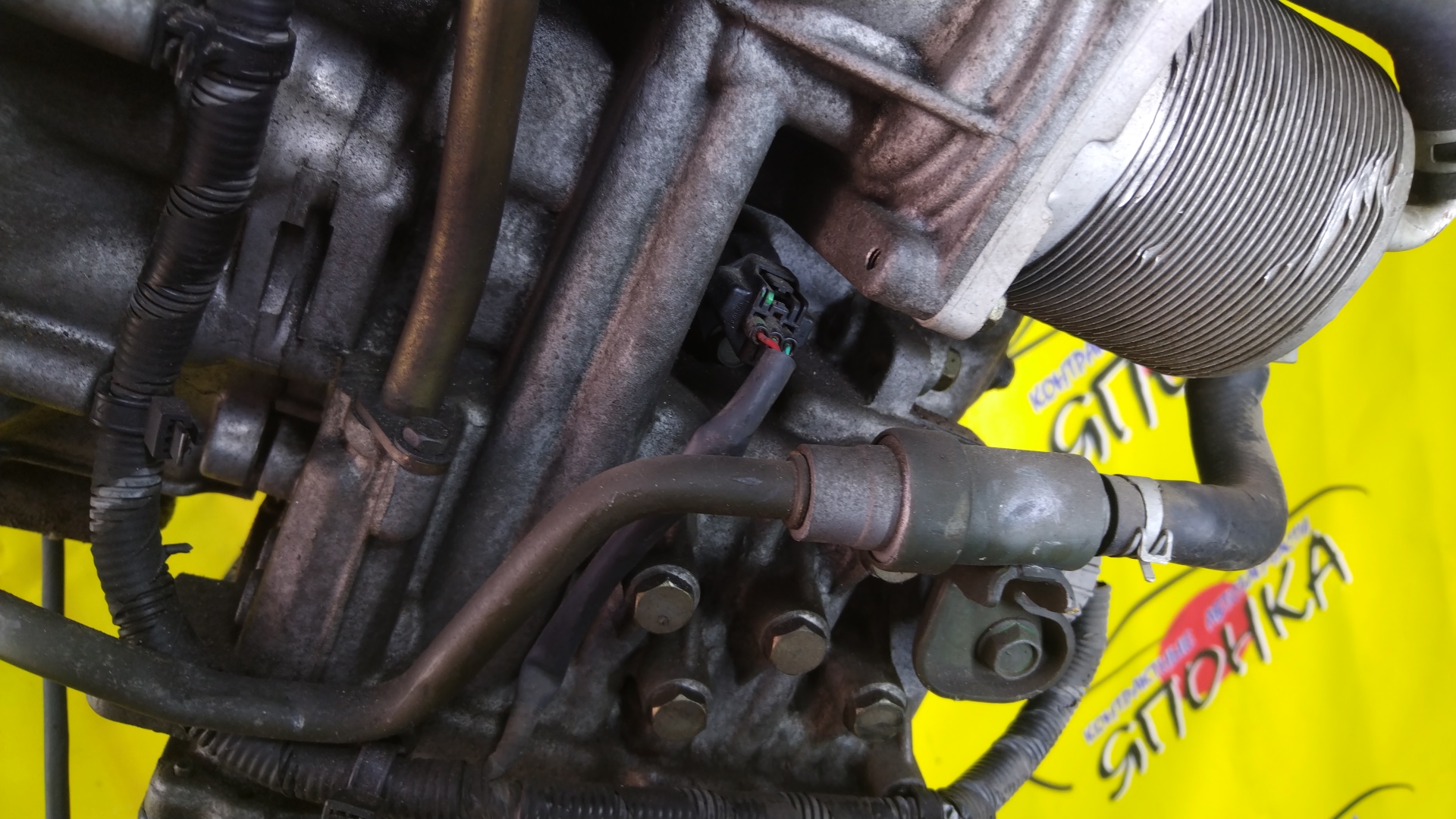 2WD/ABS/АКПП/NIS/MR20/MR20DE/X-TRAIL/LAFESTA/SERENA/BLUEBIRD SYLPHY/QASHQAI/DUALIS/J10/T31/KG11/B30/NB30/C25/CC25/KJ10/RE0F10A/CVT/310201XF05/310201XF0D/310201XF2B/310201XT0C/310201XT1A/310203UX8A/310201XT0A/310201XT0E/310201XT2B/310201XF00/310201XF1A/310201XF1E/310201XF02/310203UX4E/310201XF0B/2000250Z10/310201XT2C