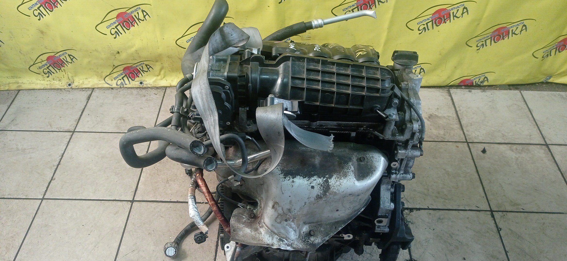 ДВС/NIS/MR20DE/SUZUKI/BLUEBIRD SYLPHY/DUALIS/LAFESTA/LANDY/QASHQAI2/SERENA/X-TRAIL/B30/C25/CC25/J10/J10E/JJ10E/KG11/KJ10/SC25/T31/2WD/10102EW0A0/10102EN0AB/10102EN0RB/10102EN1R0/101021GKAA