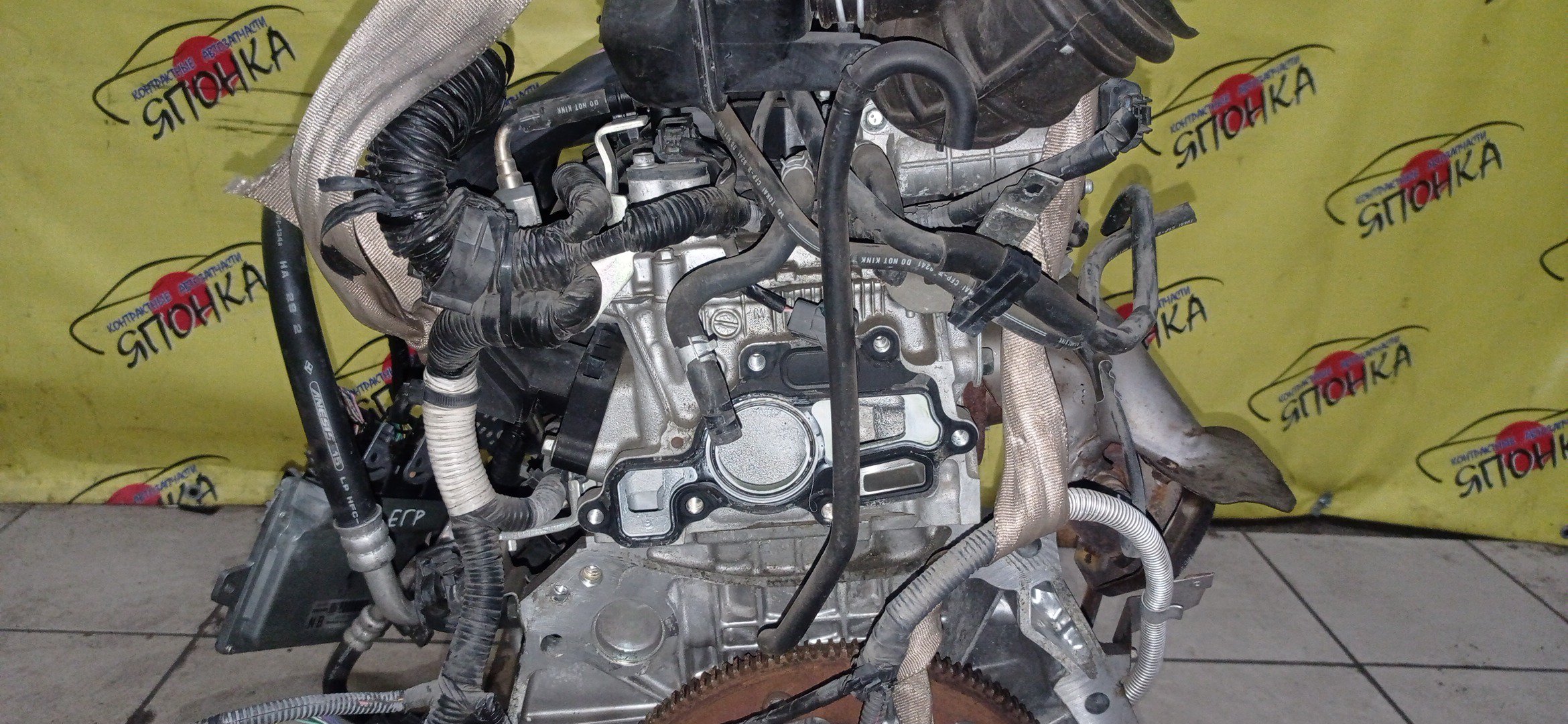 ДВС/NIS/MR20DE/SUZUKI/BLUEBIRD SYLPHY/DUALIS/LAFESTA/LANDY/QASHQAI2/SERENA/X-TRAIL/B30/C25/CC25/J10/J10E/JJ10E/KG11/KJ10/SC25/T31/2WD/10102EW0A0/10102EN0AB/10102EN0RB/10102EN1R0/101021GKAA