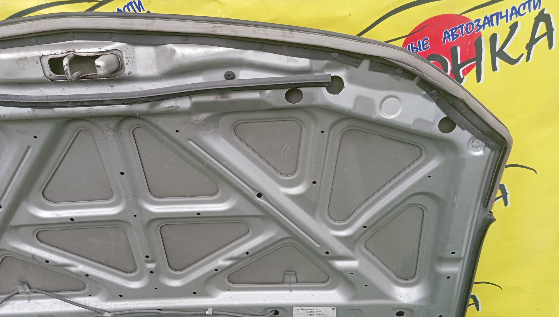 КАПОТ/NIS/LIBERTY/PM12/PNM12/RM12/RNM12/F5100WF1MM