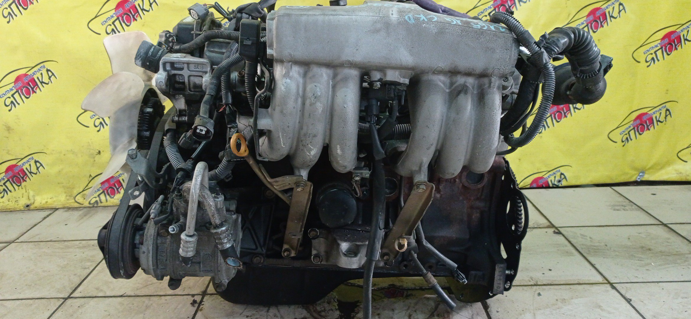 ДВС/TOY/1G-FE/CHASER/CRESTA/CROWN/MARK II/GS141/GS151/GX100/GX90/GX80/ТРАМБЛЕРНЫЙ/1900070182/1900070300/1900070301